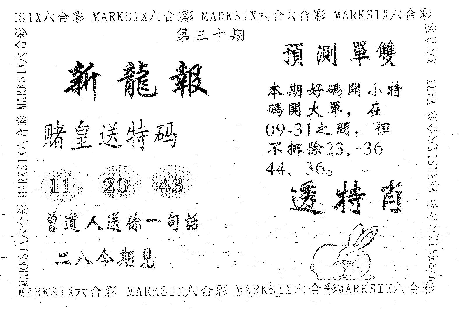 新龙报 第30期