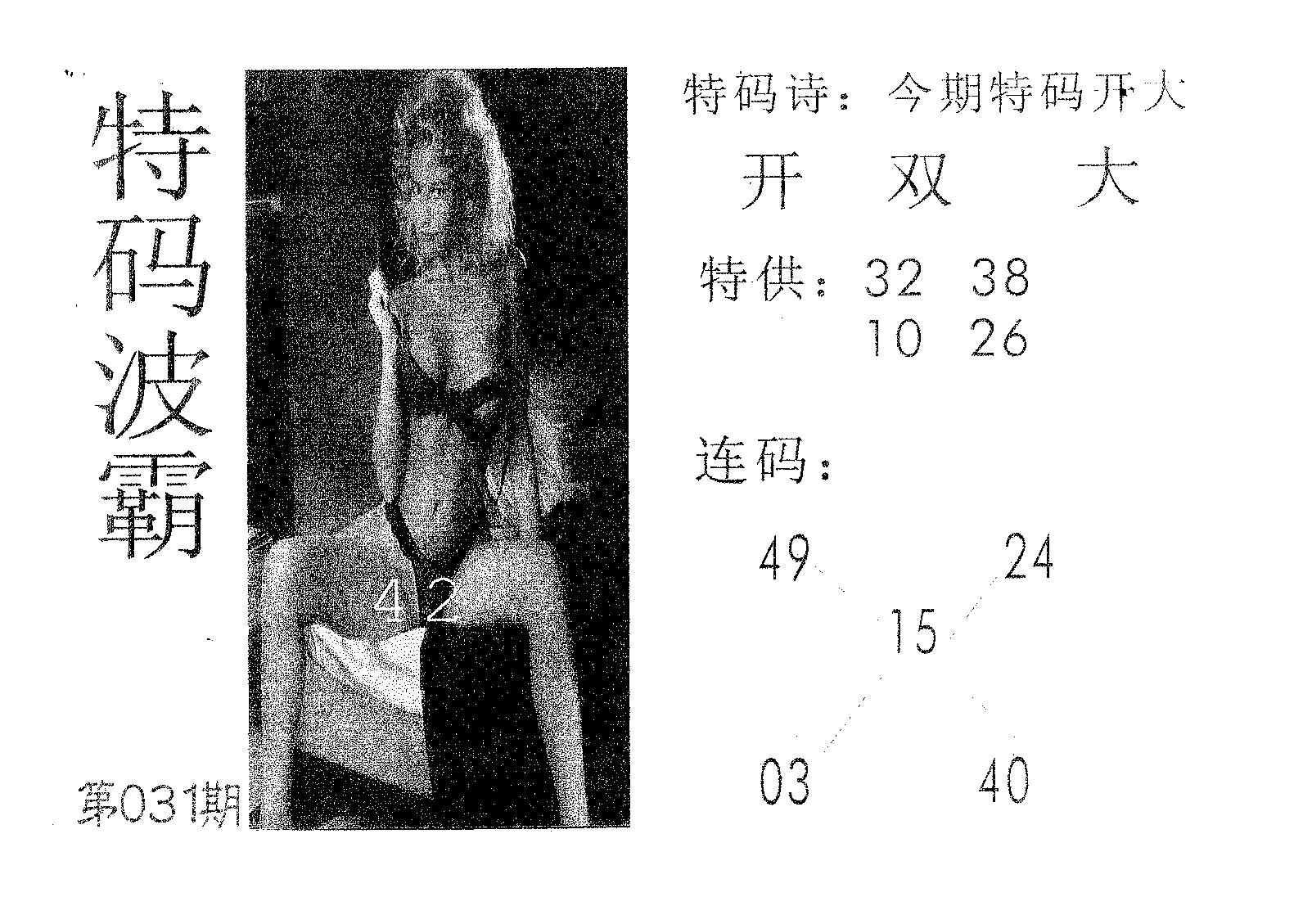 特码波霸 第31期