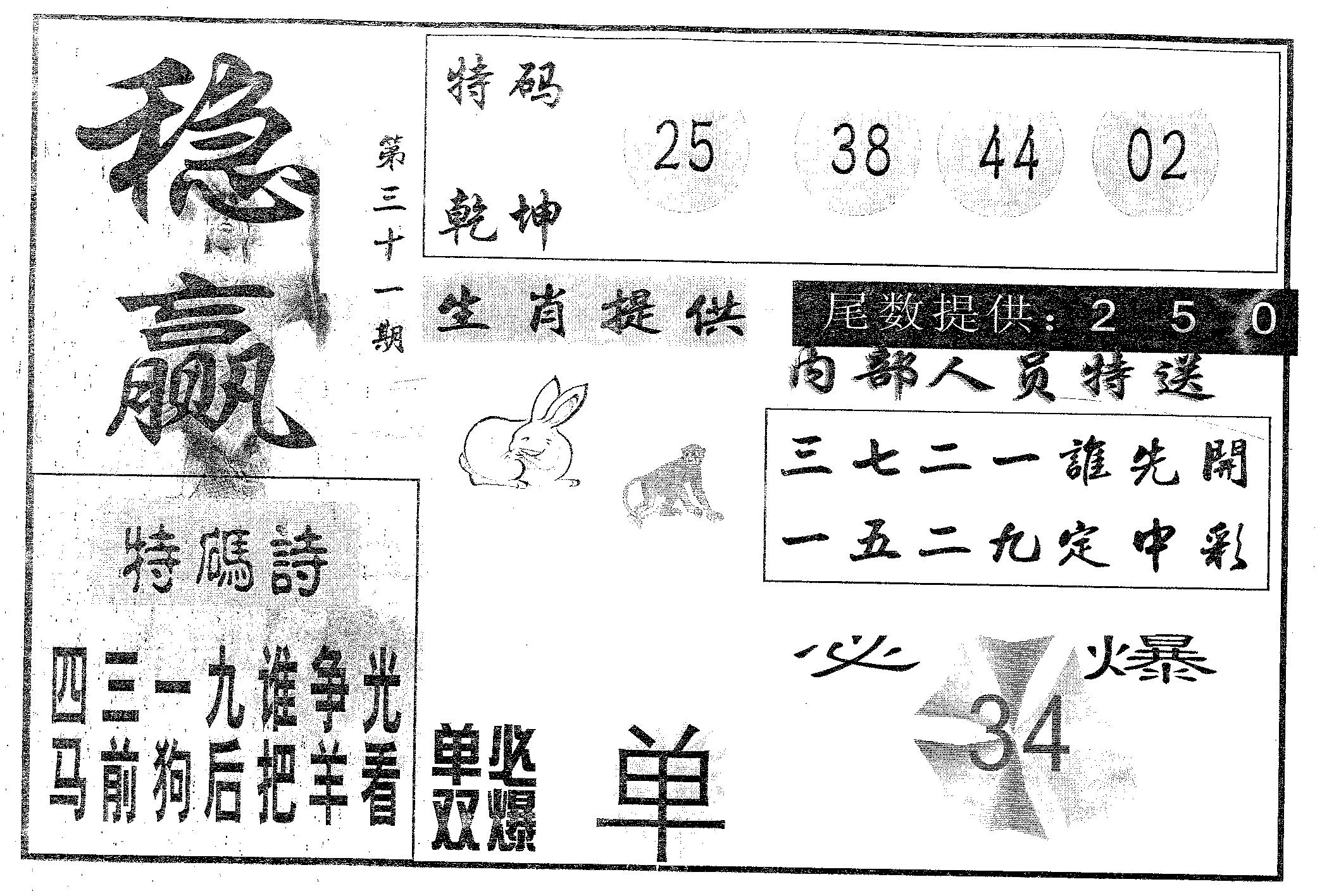 稳赢 第31期