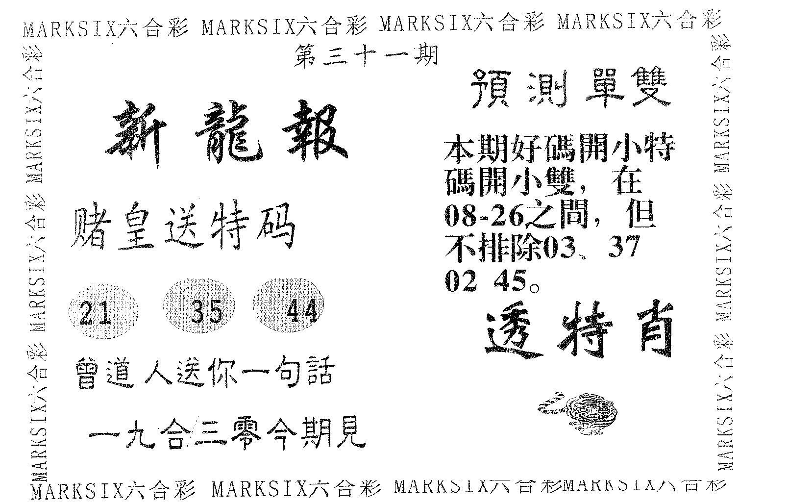 新龙报 第31期