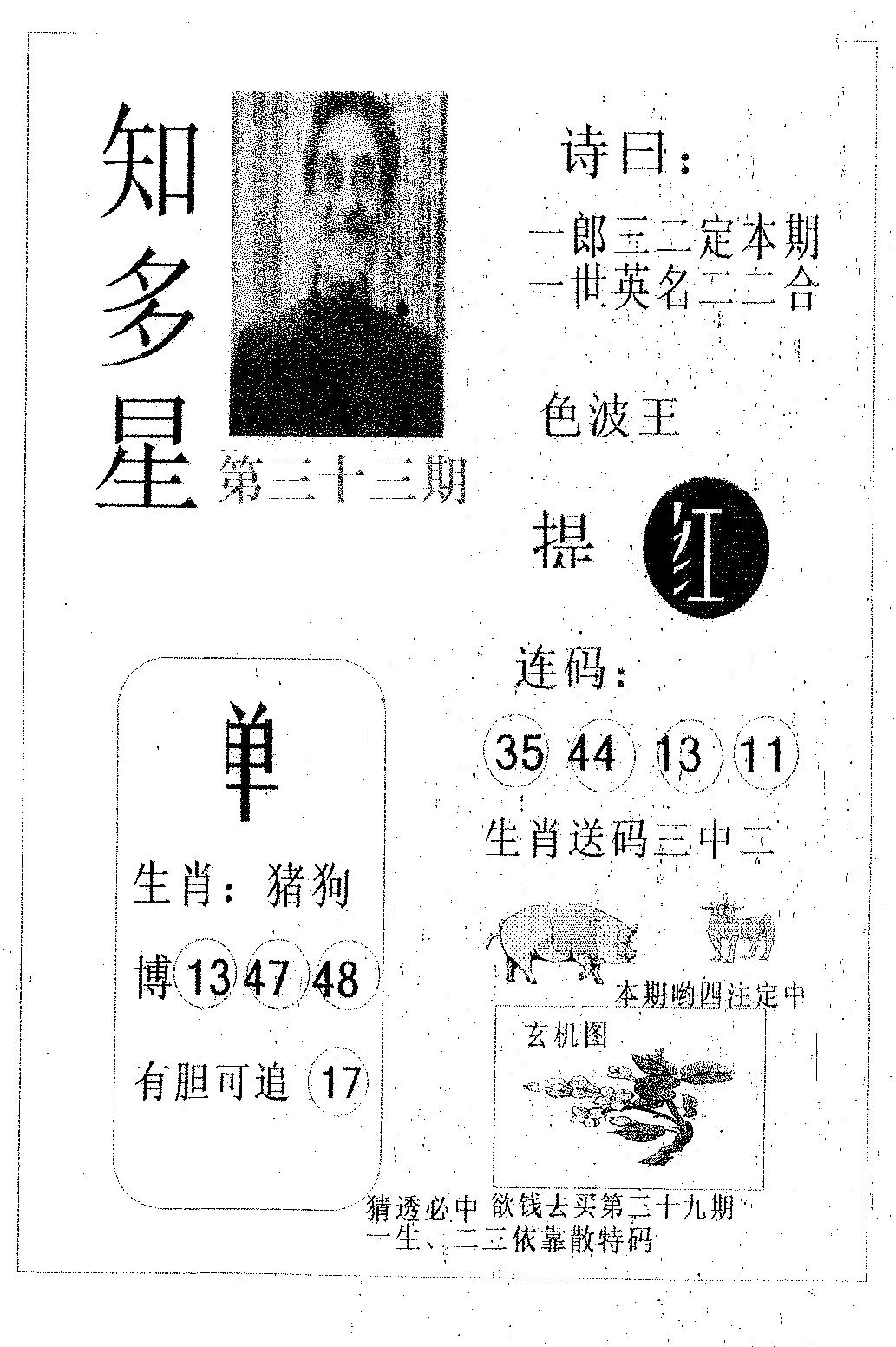 知多星 第33期