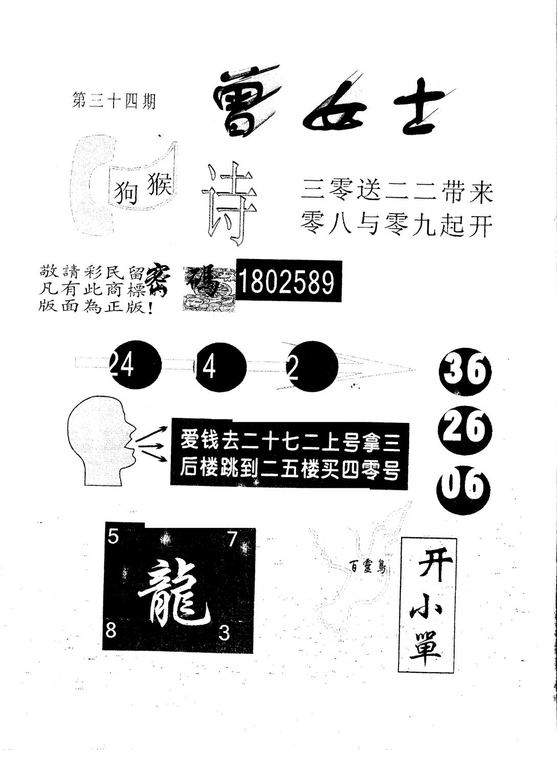 另版曾女士百灵鸟 第34期