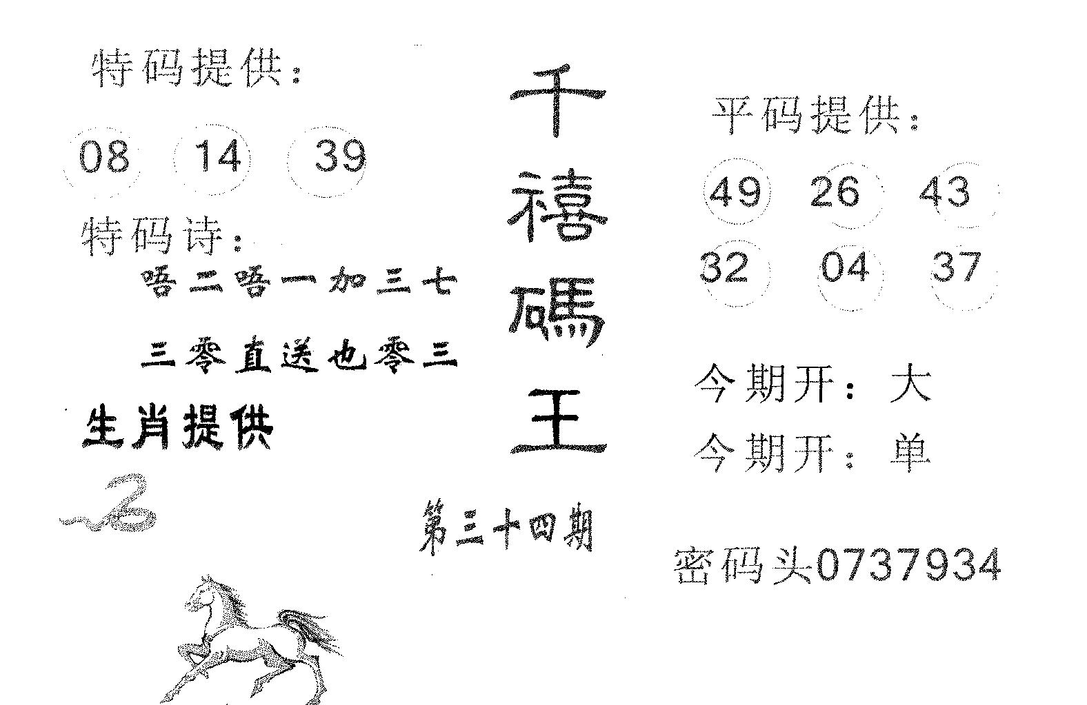 千禧码王 第34期