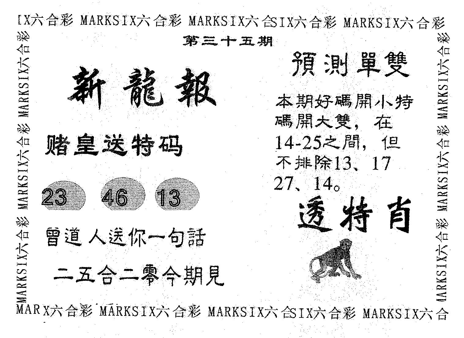 新龙报 第35期