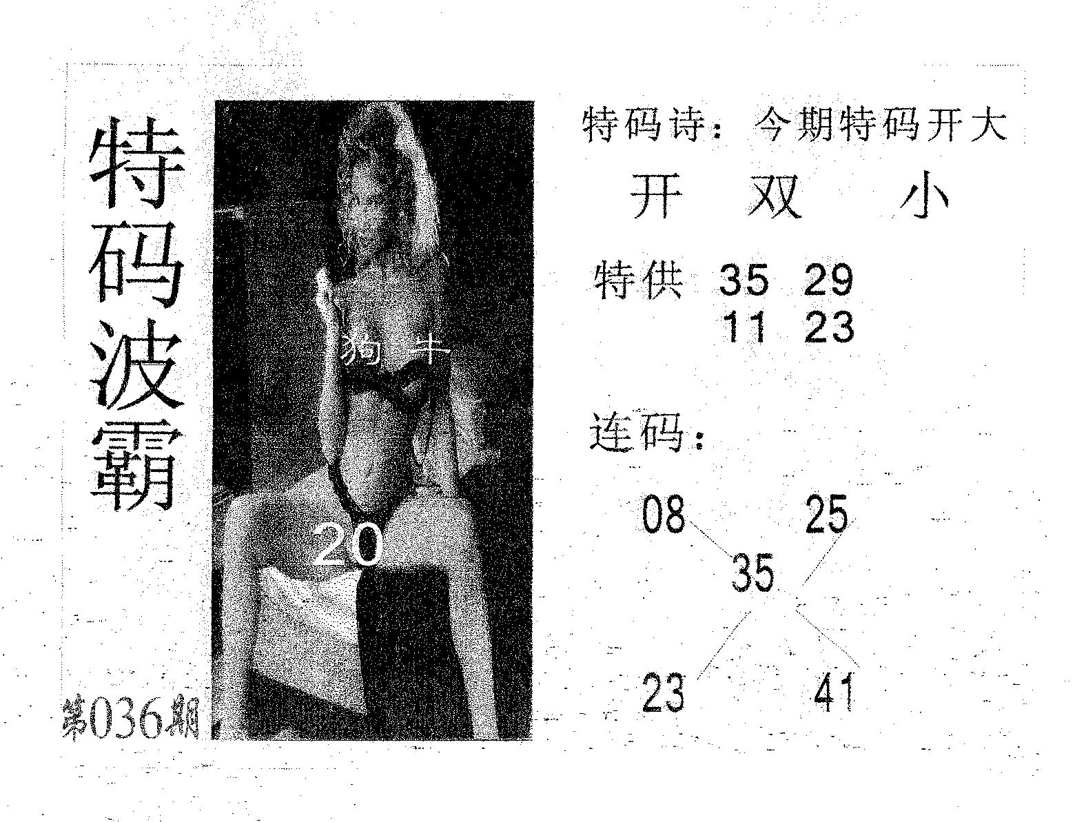 特码波霸 第36期