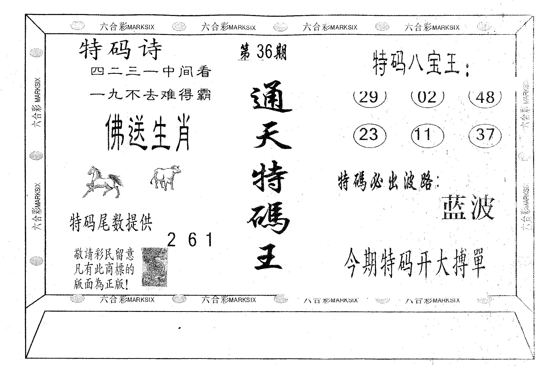 通天特码王 第36期