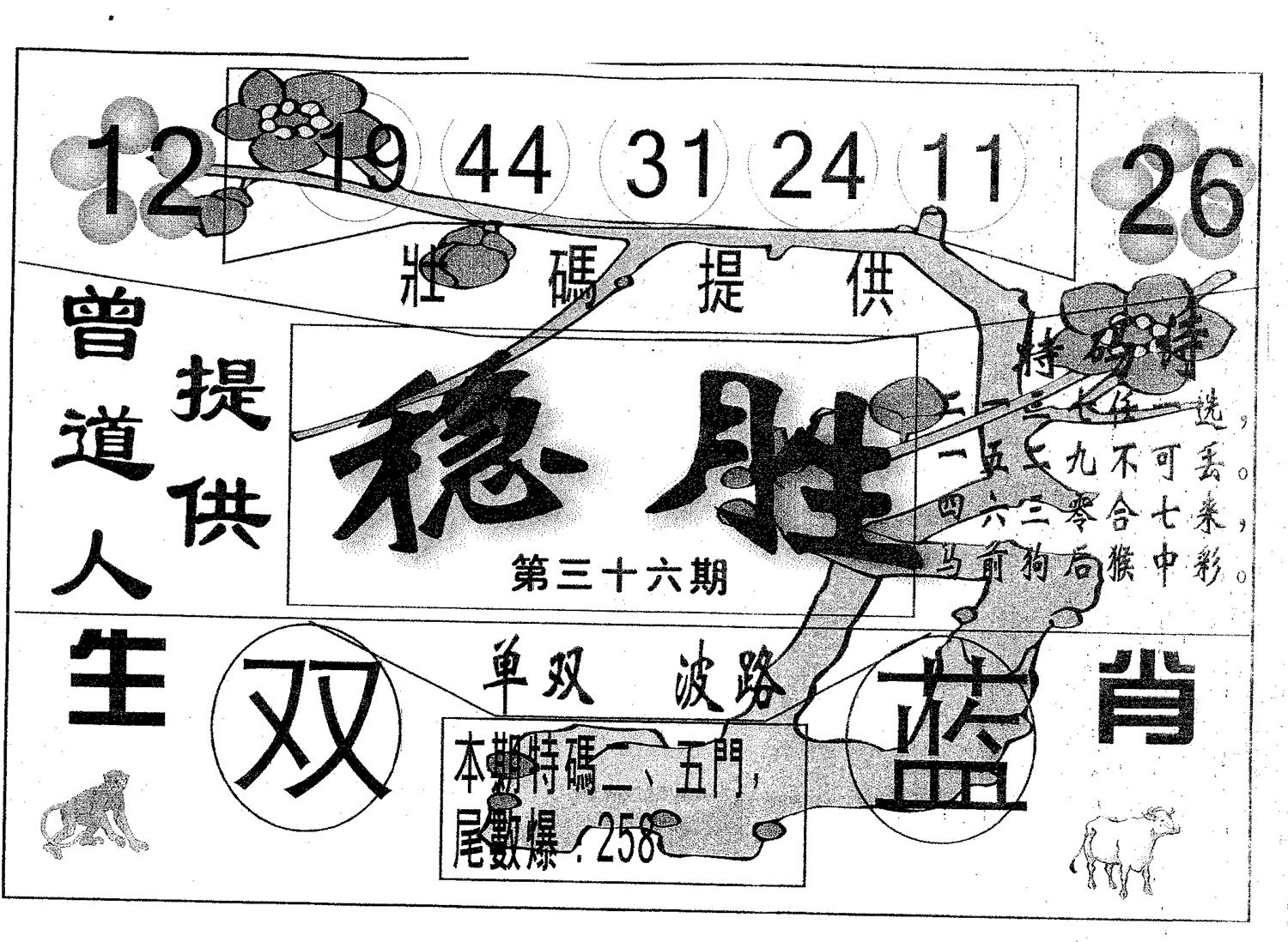 稳胜 第36期
