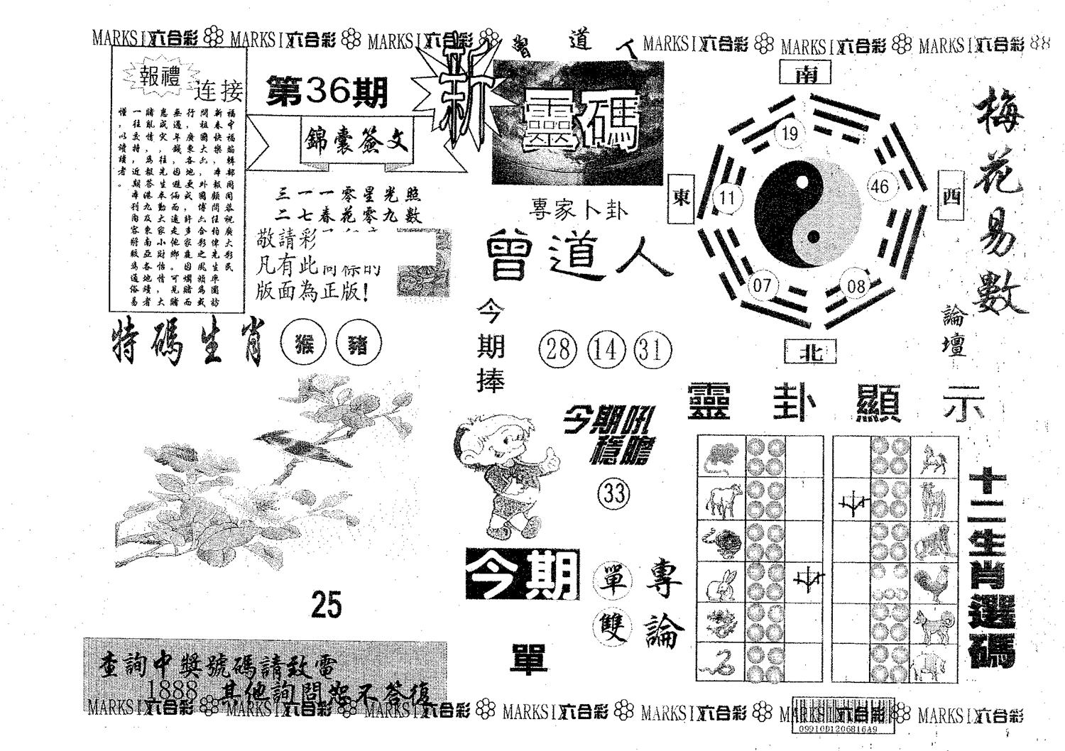新灵码 第36期