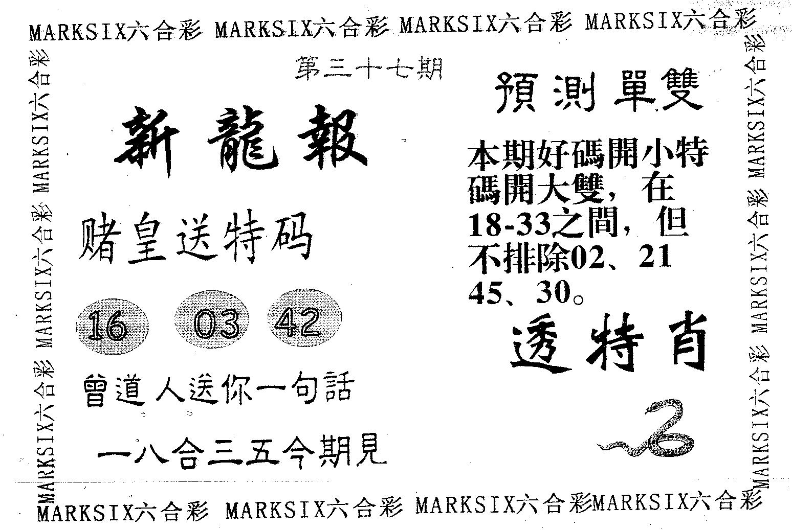 新龙报 第37期