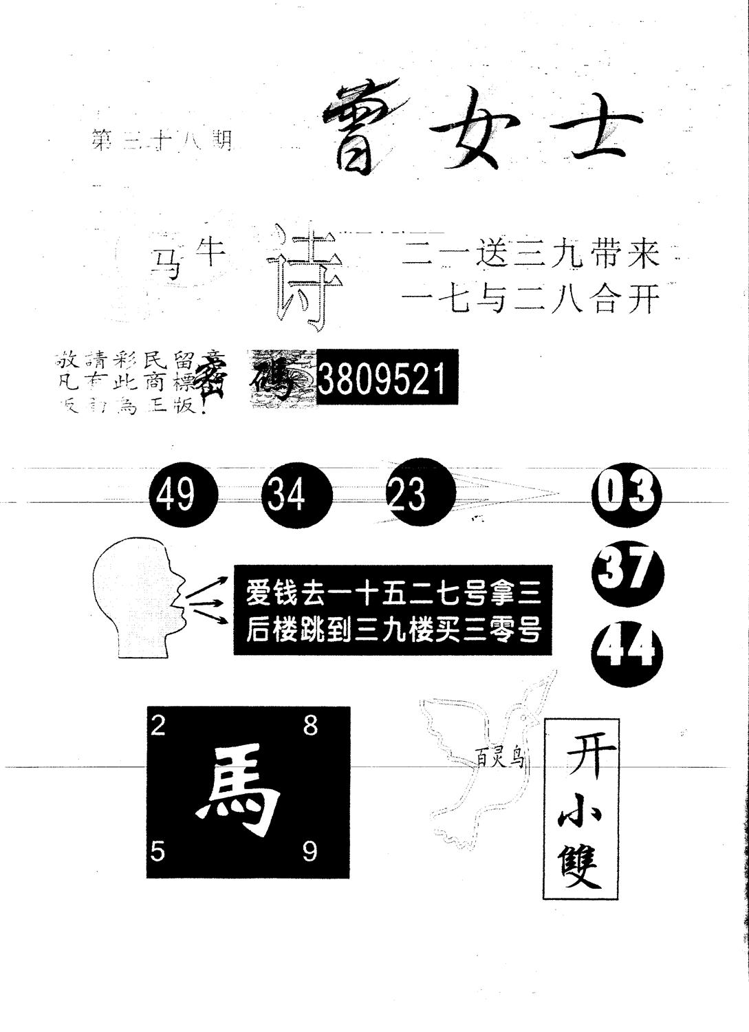 另版曾女士百灵鸟 第38期