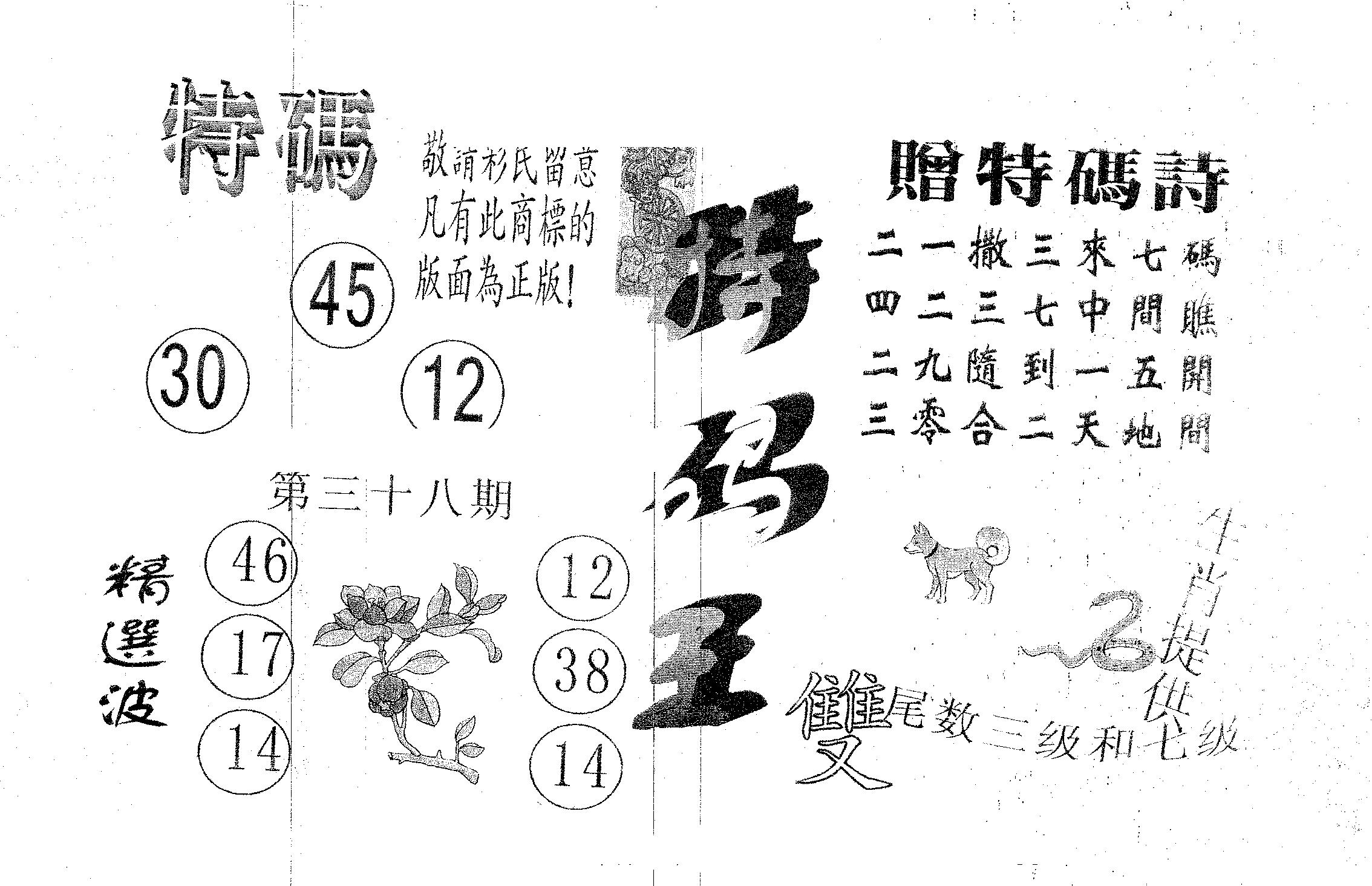 特码王A 第38期
