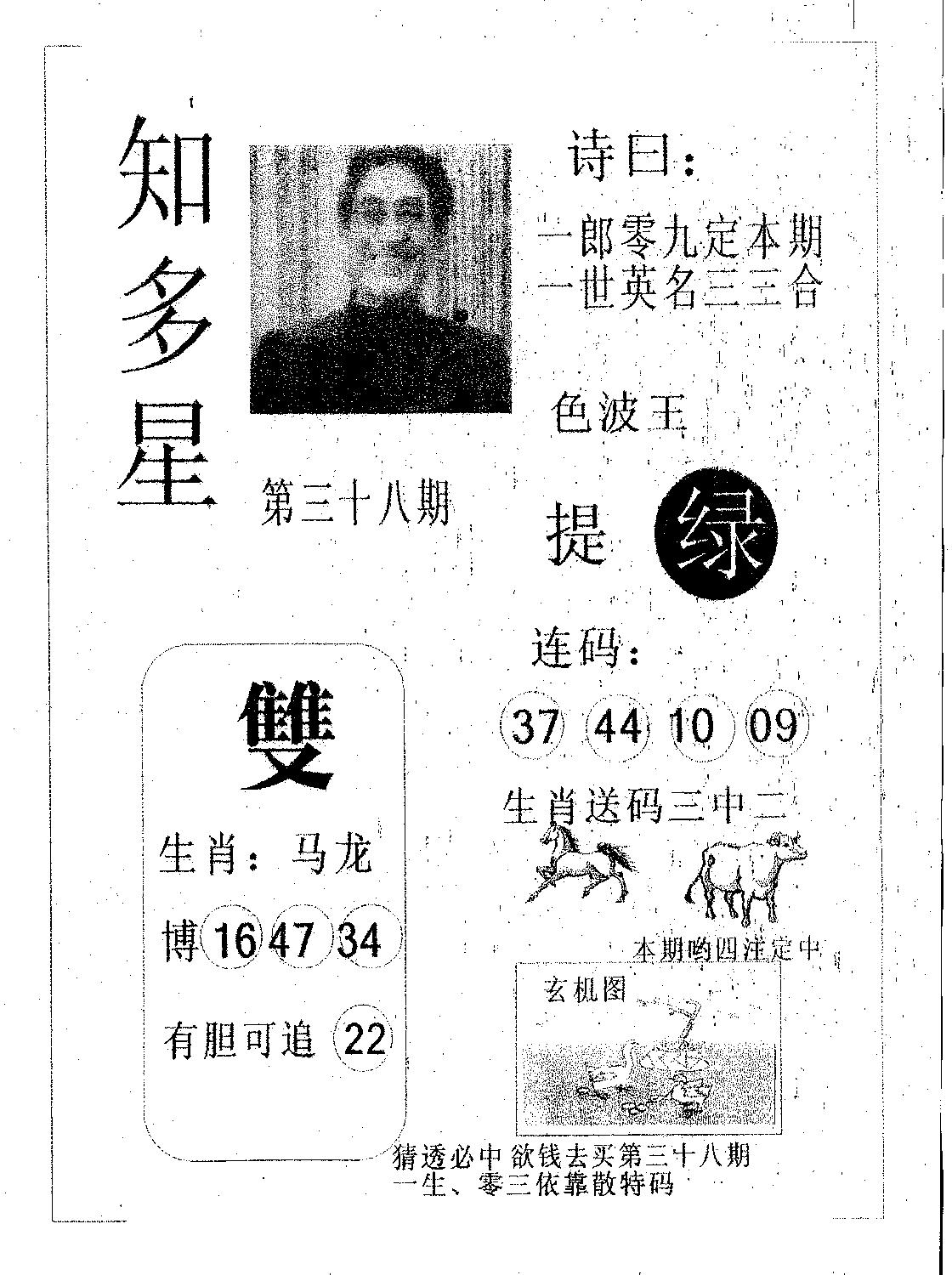 知多星 第38期