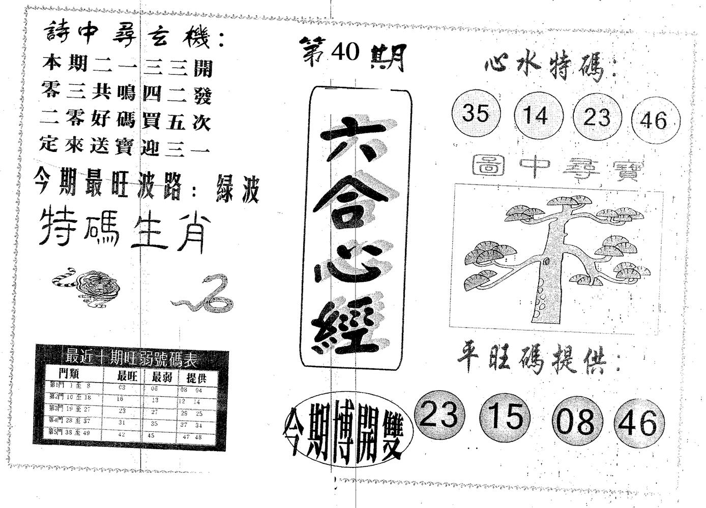 六合心经 第40期