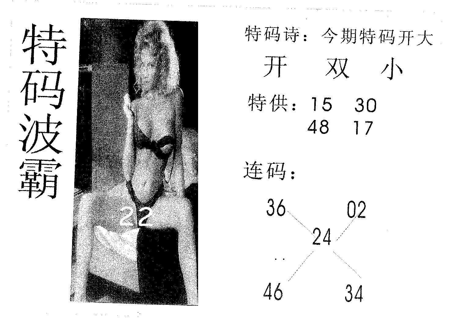 特码波霸 第40期