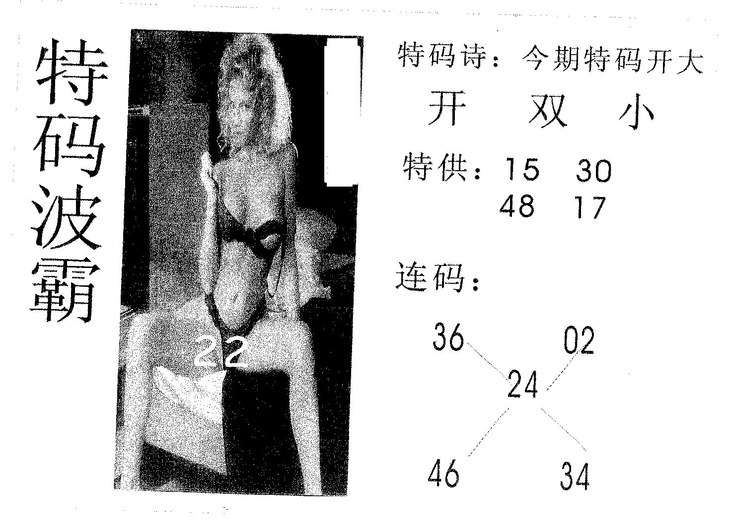 特码波霸 第41期