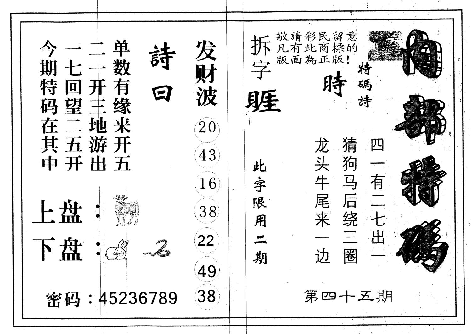 另版内部特码 第45期