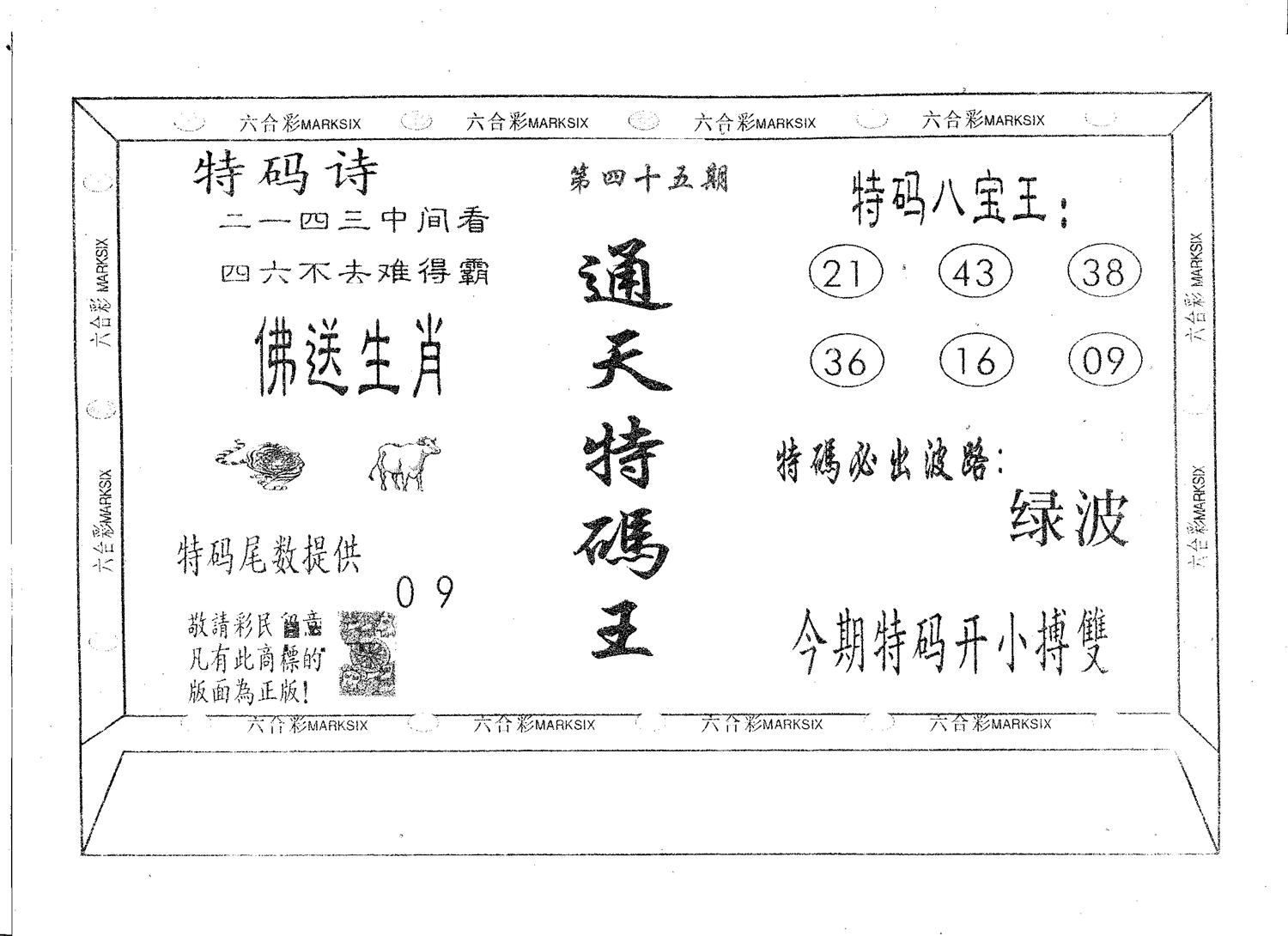 通天特码王 第45期
