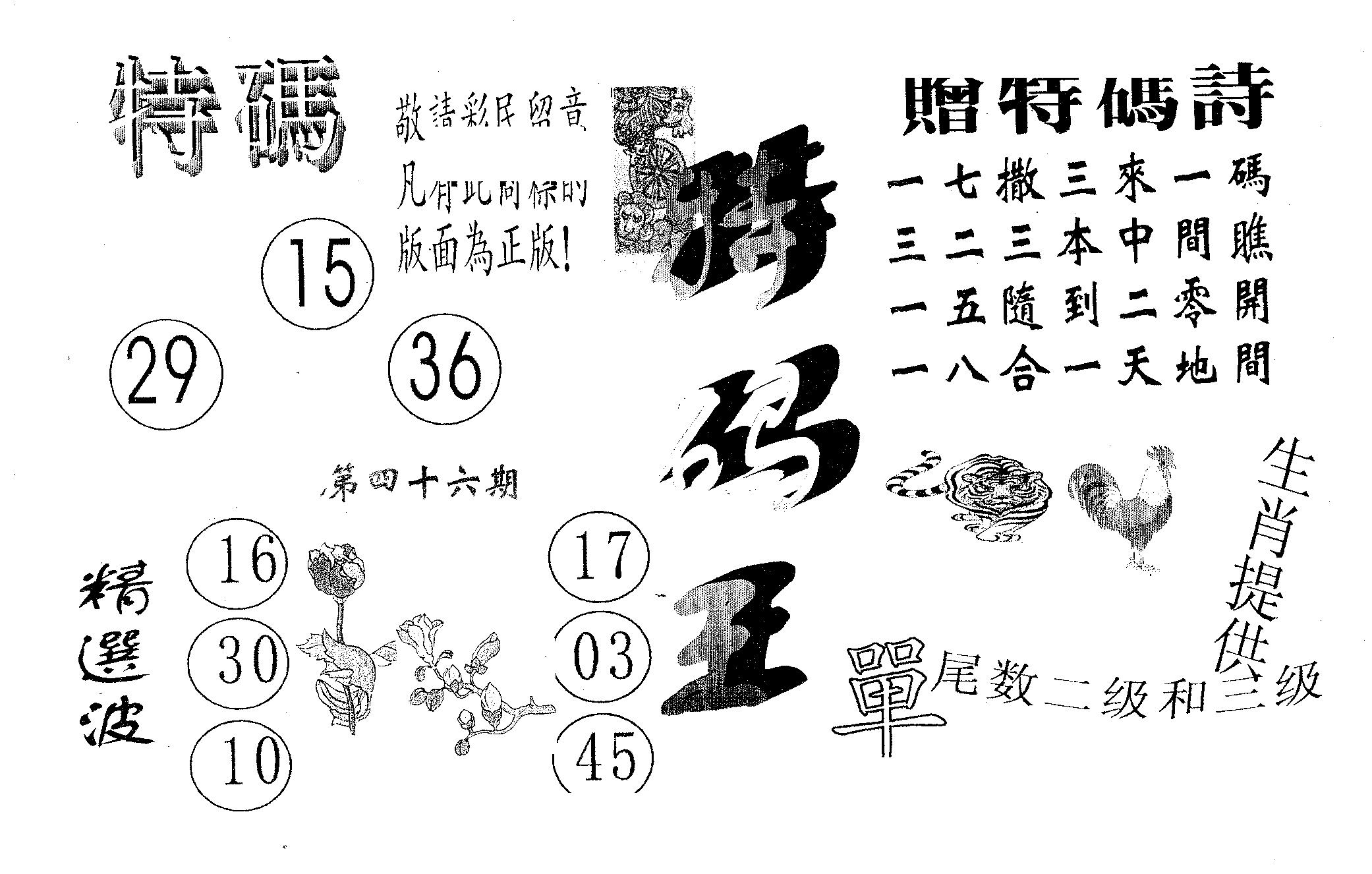 特码王A 第46期