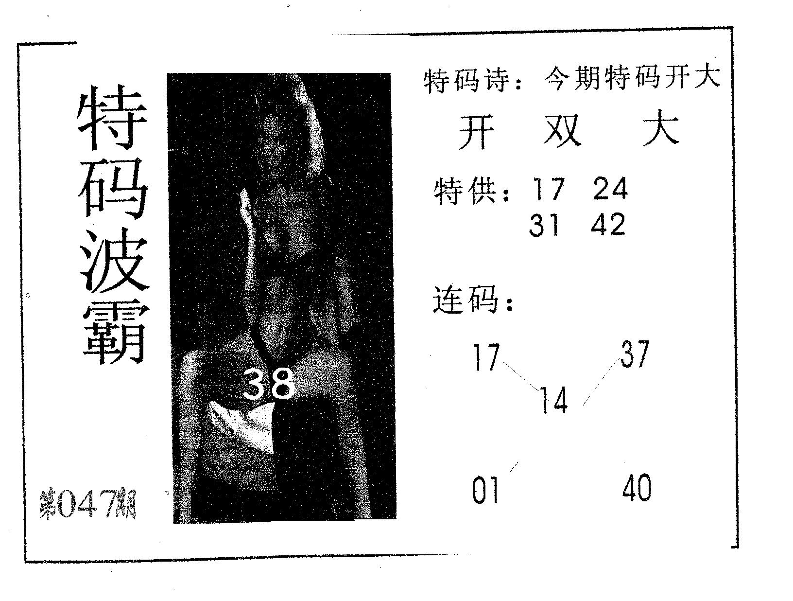 特码波霸 第47期