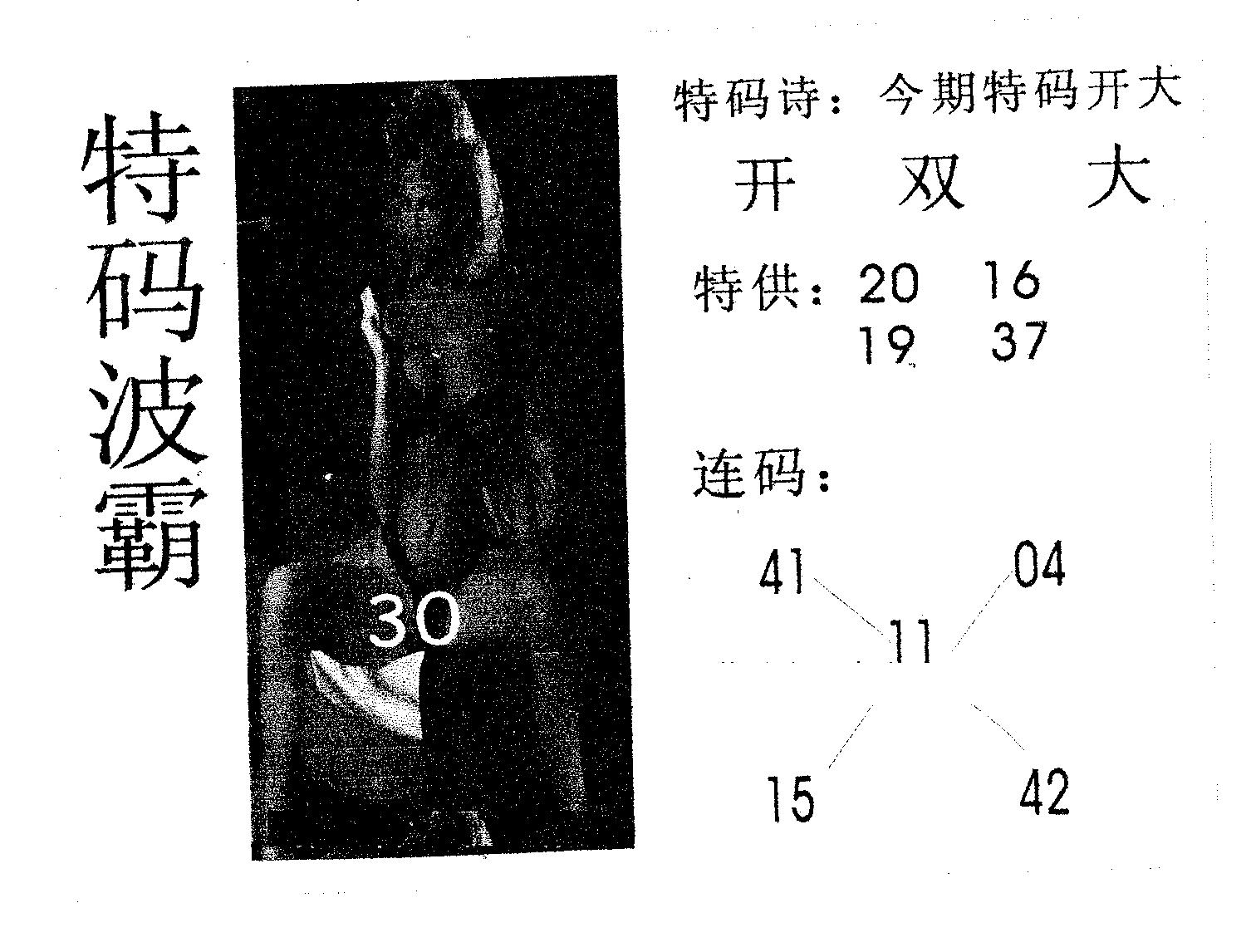 特码波霸 第48期