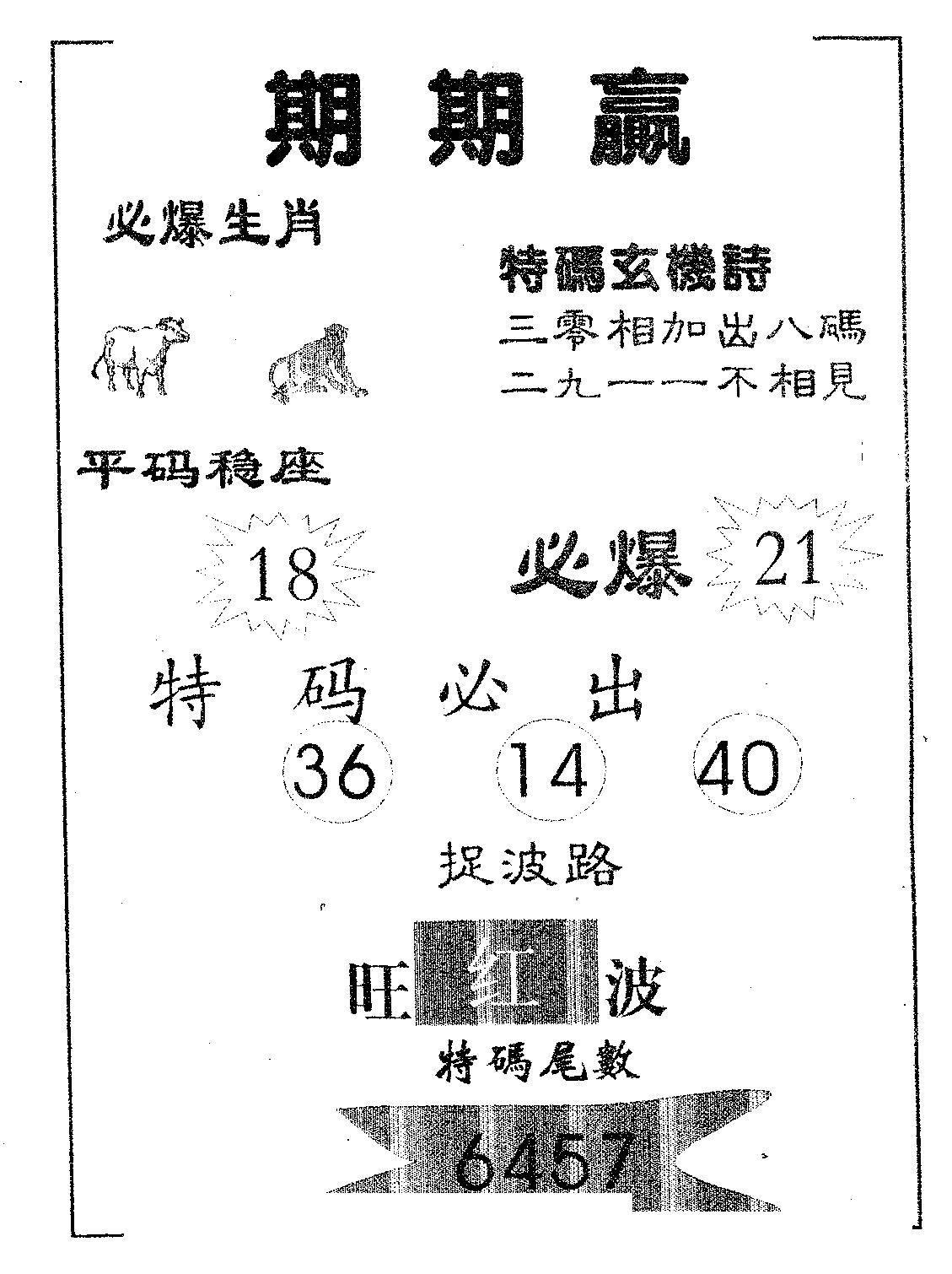 期期赢 第49期