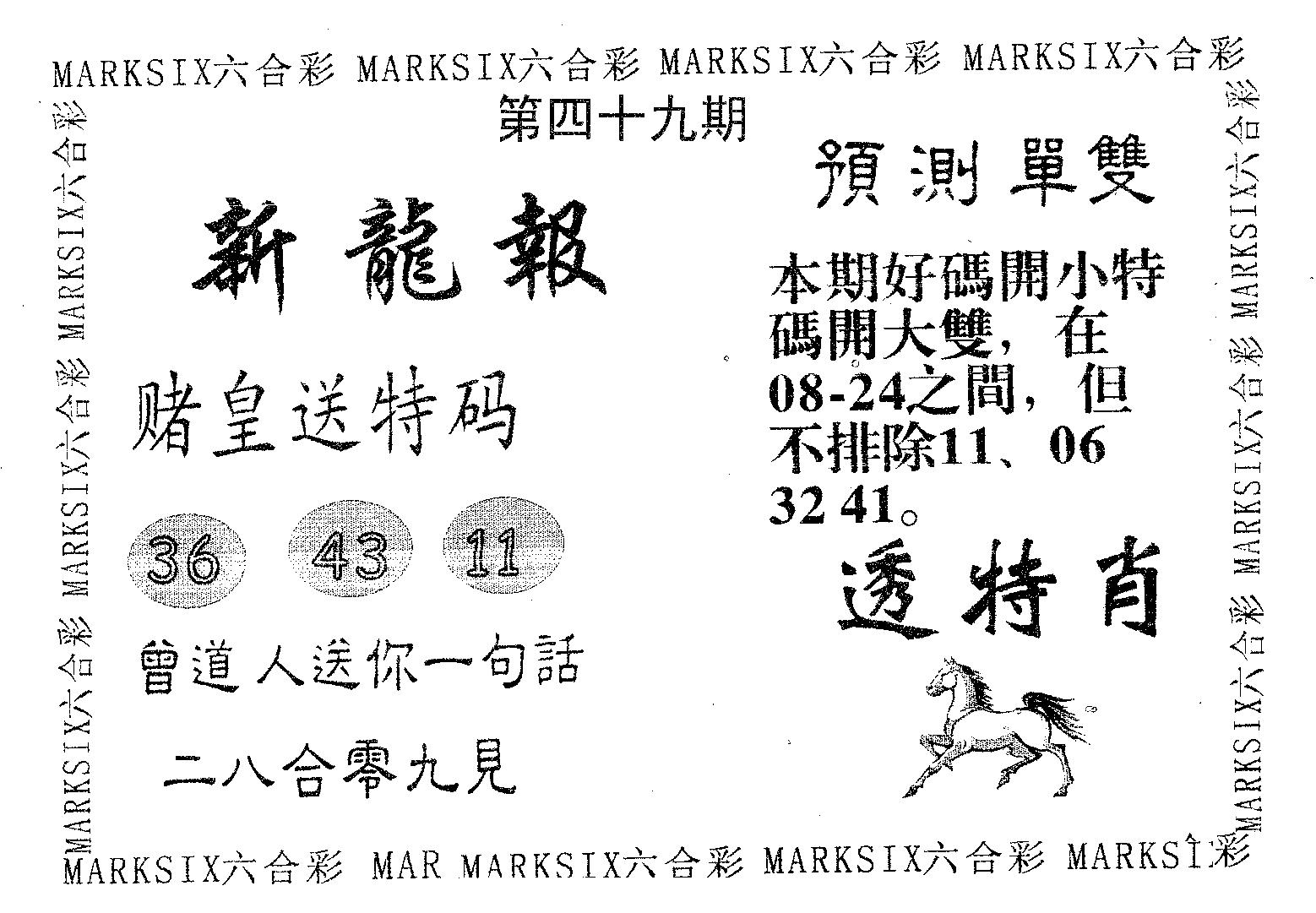 新龙报 第49期