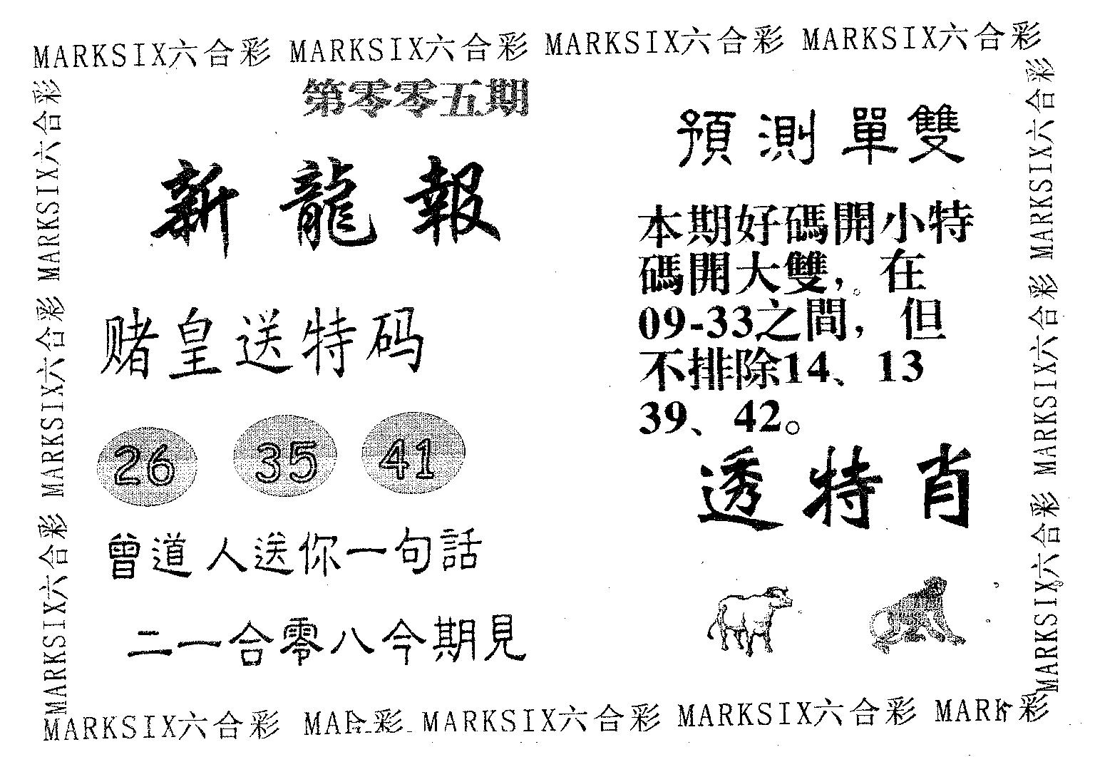 新龙报 第5期