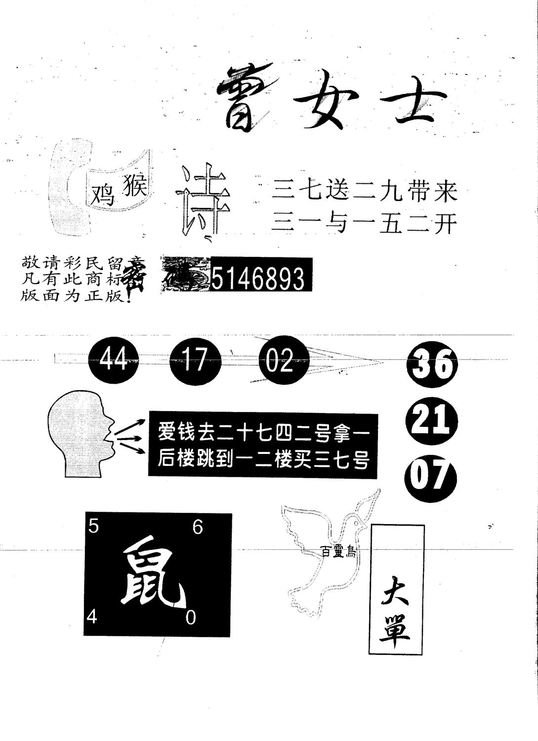 另版曾女士百灵鸟 第51期