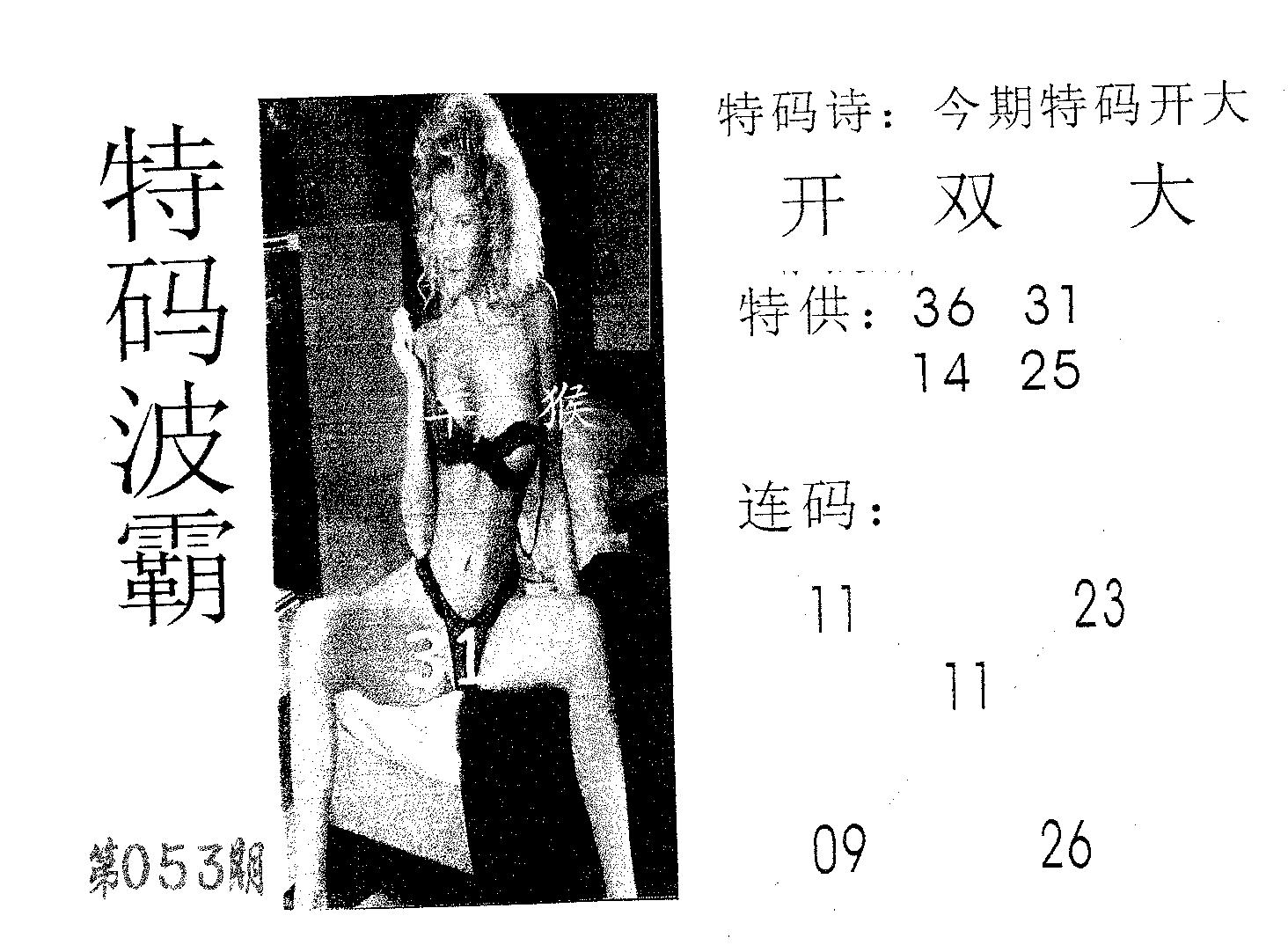 特码波霸 第53期