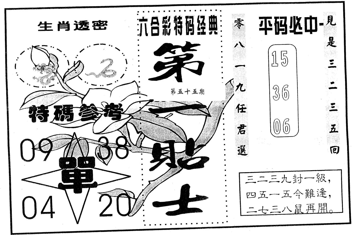 第一贴士 第55期