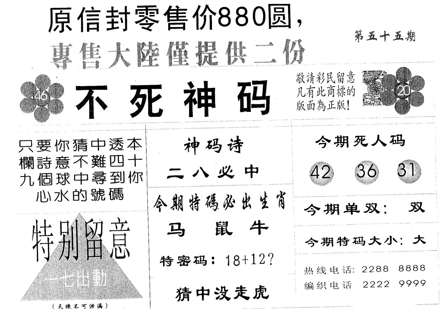 不死码B 第55期