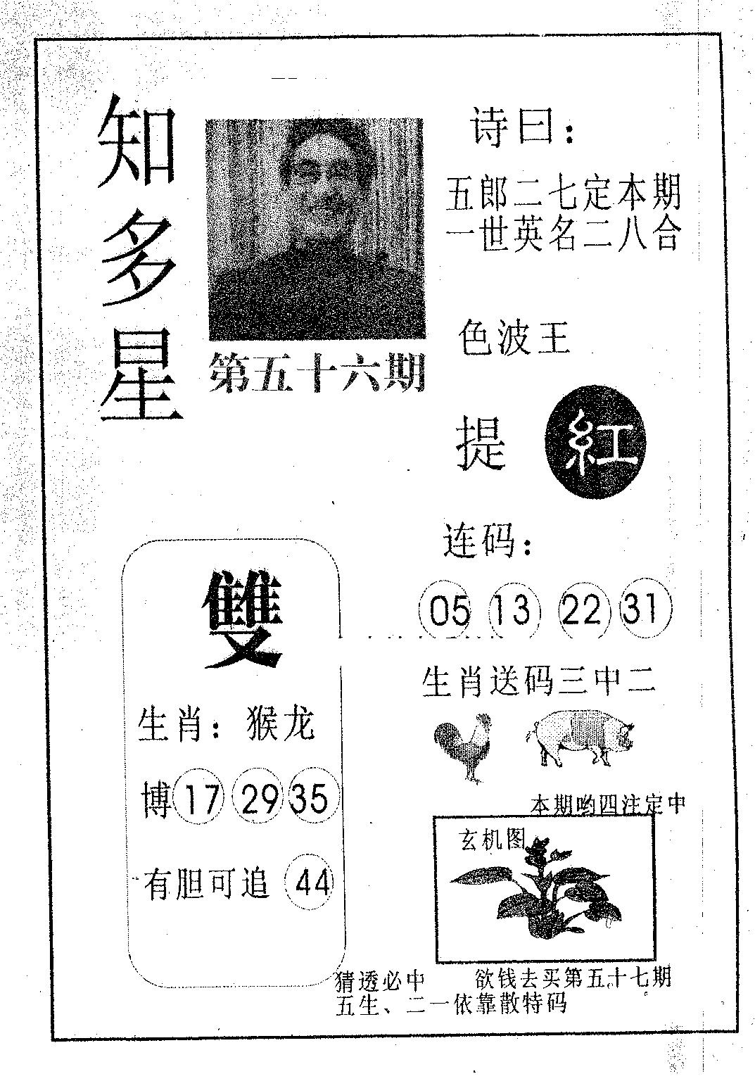 知多星 第56期