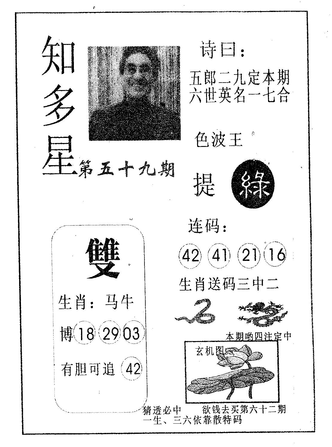 知多星 第59期