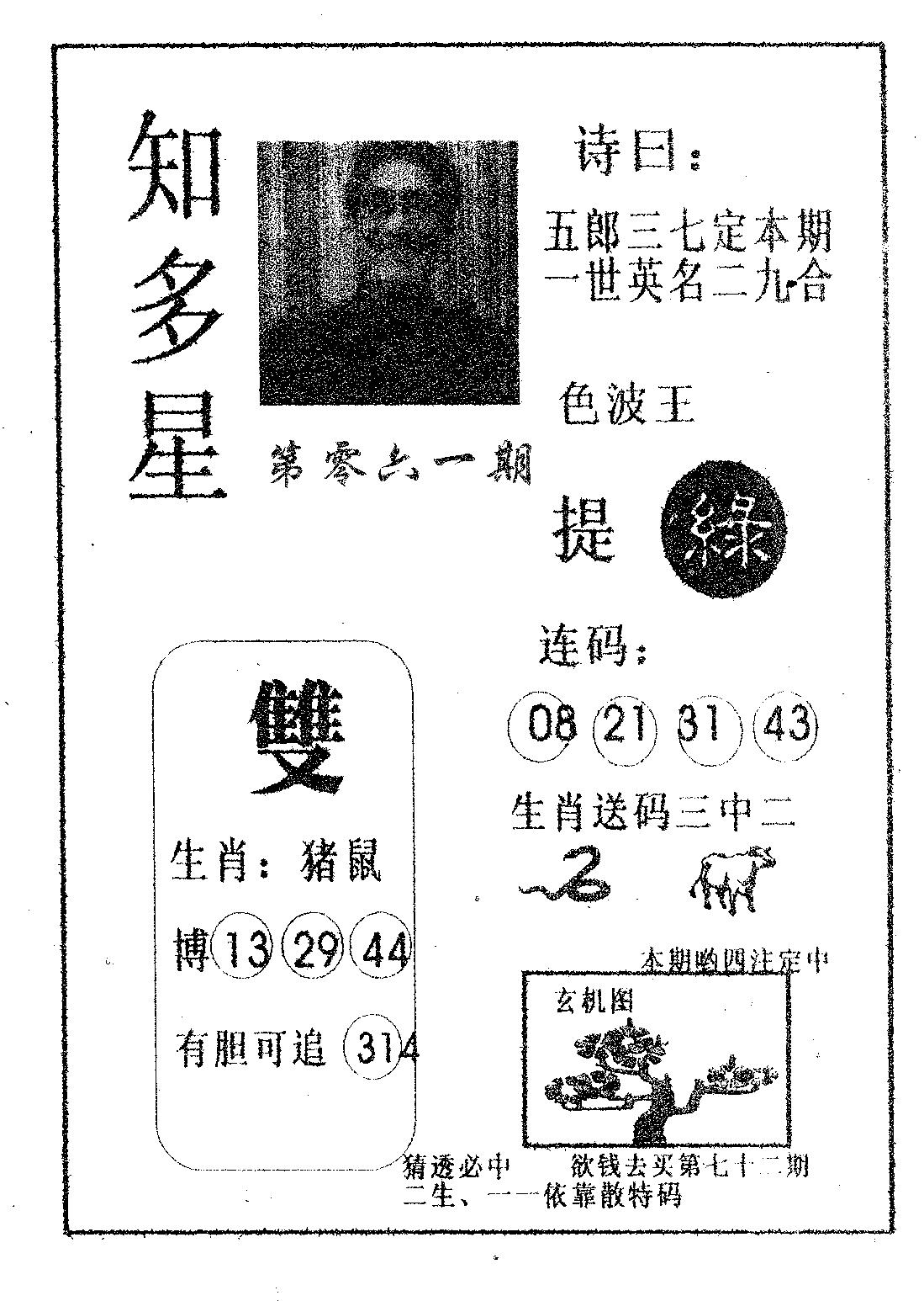 知多星 第61期