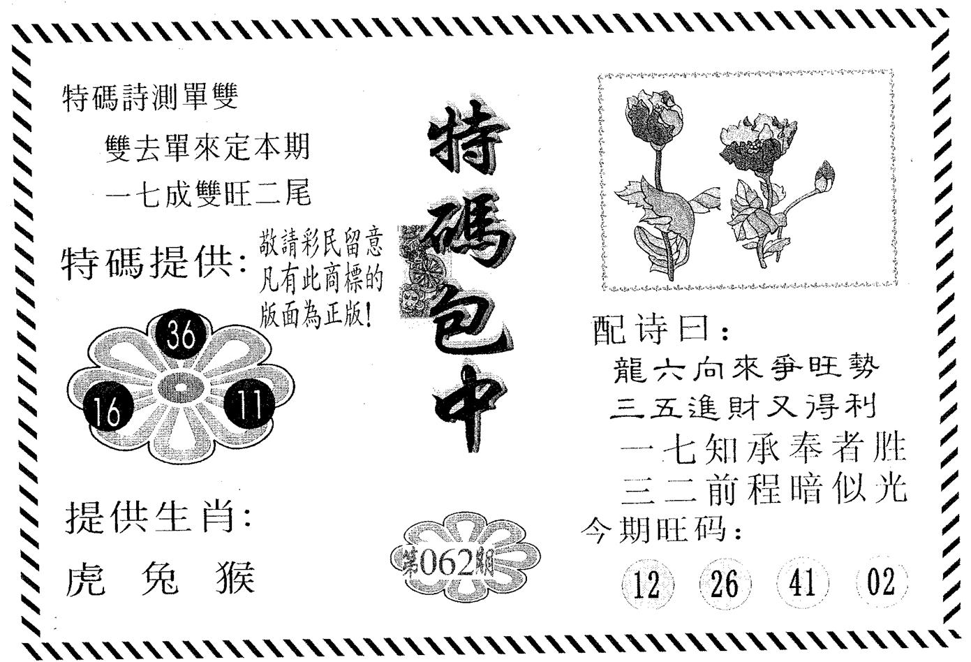 特码包中 第62期