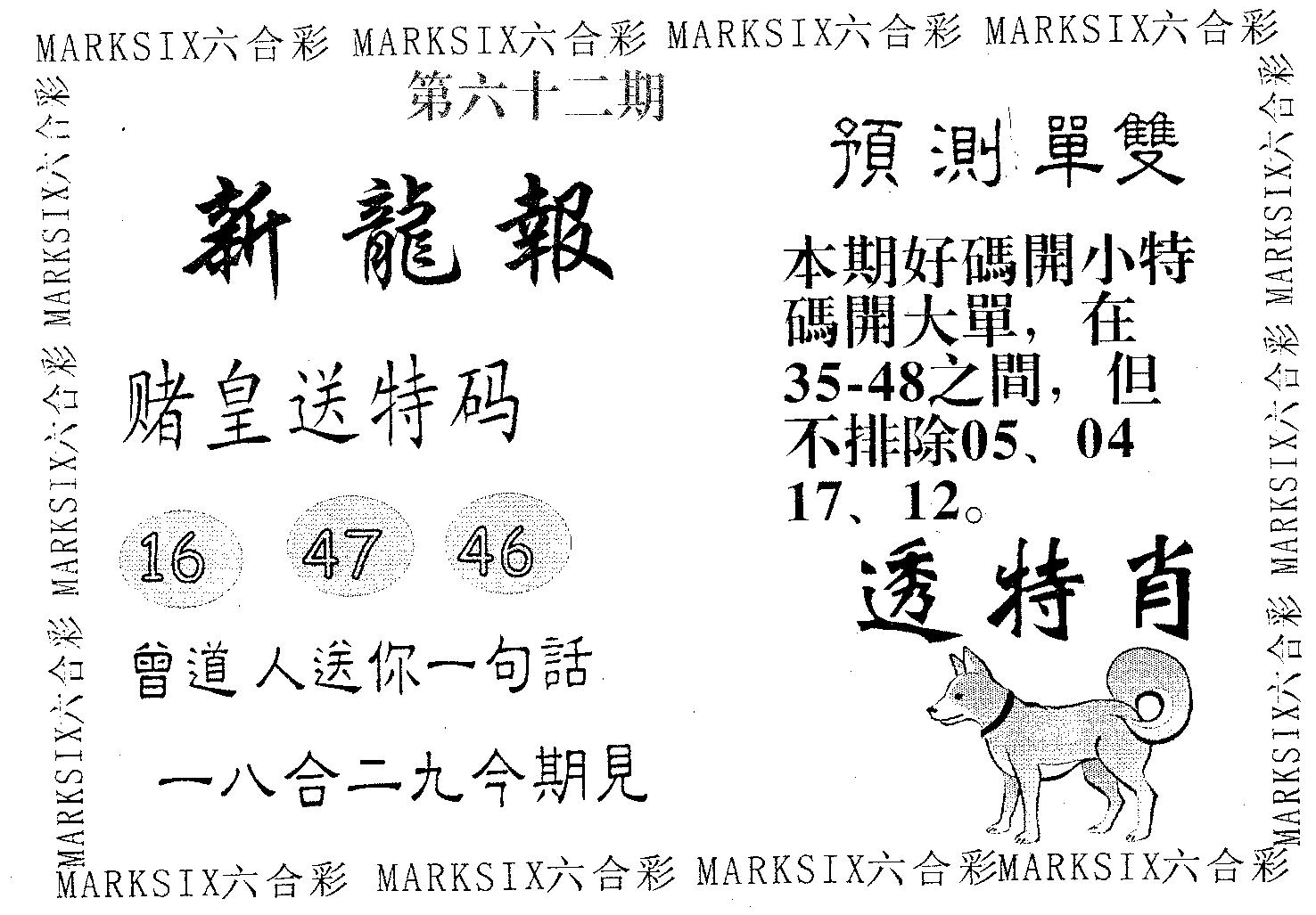 新龙报 第62期