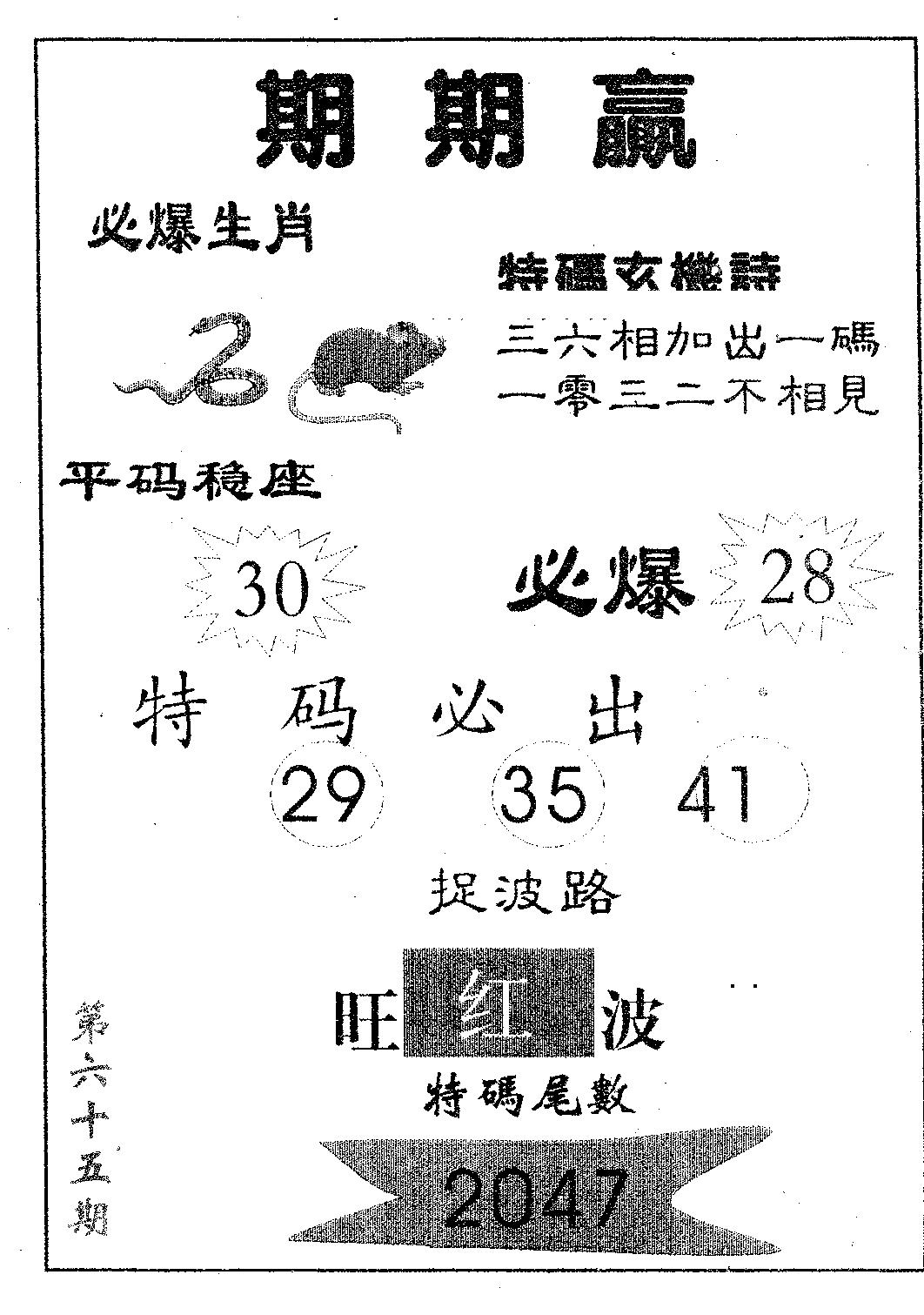 期期赢 第65期