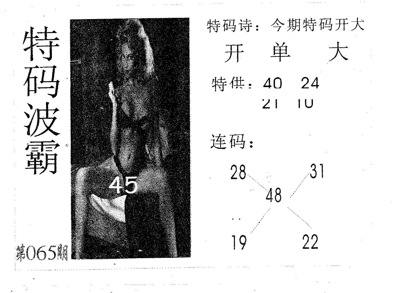 特码波霸 第65期