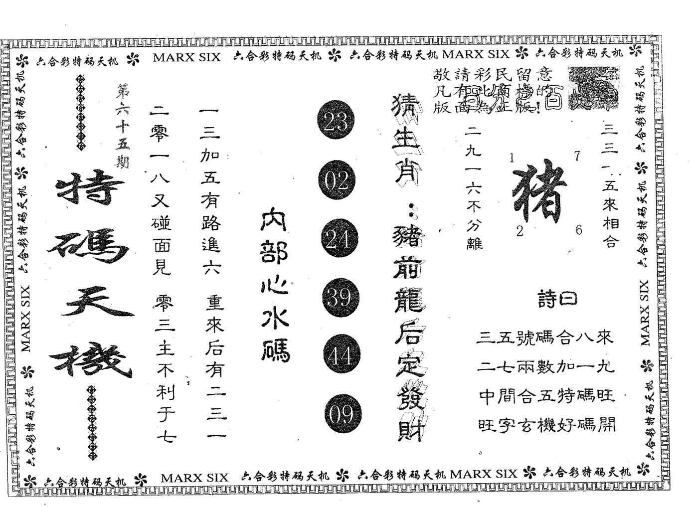 特码天机 第65期