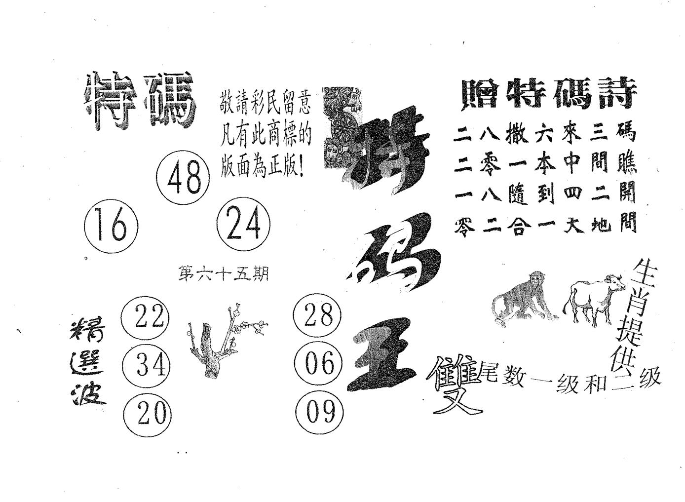 特码王A 第65期