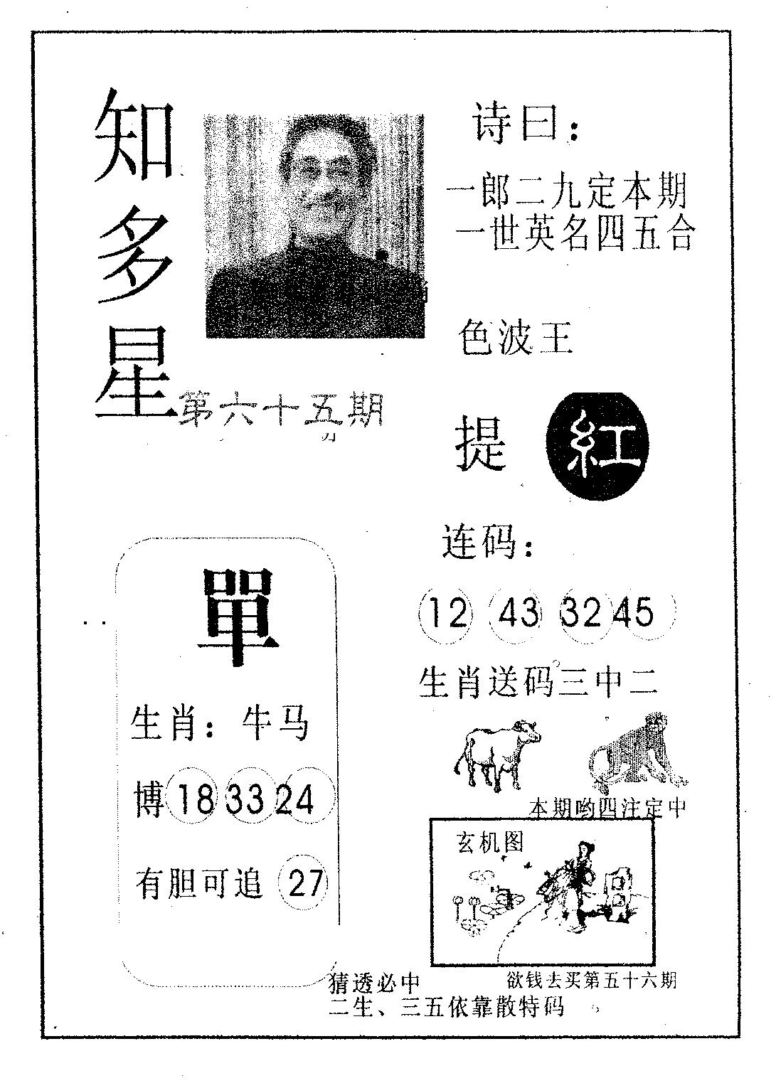 知多星 第65期