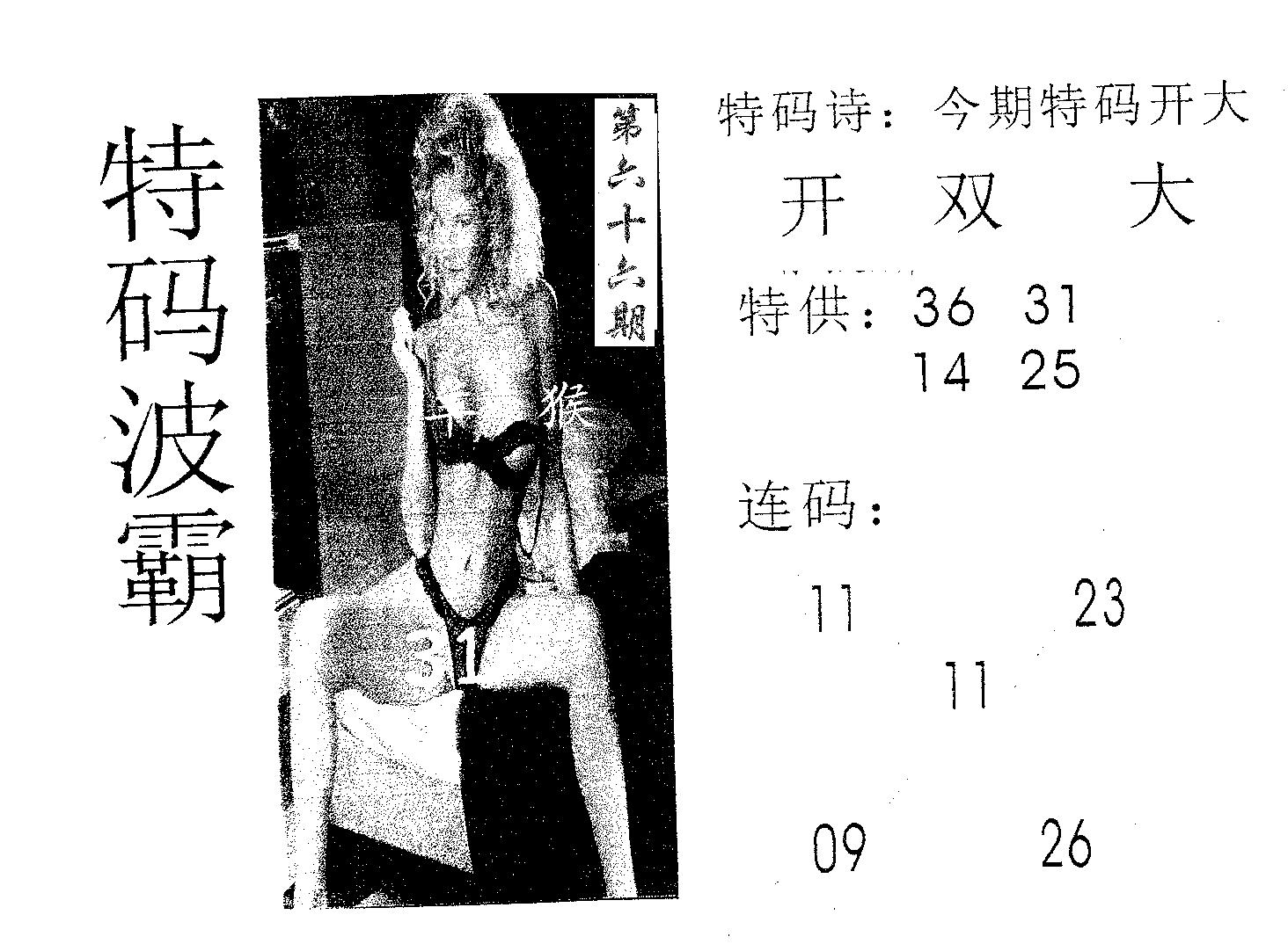 特码波霸 第66期