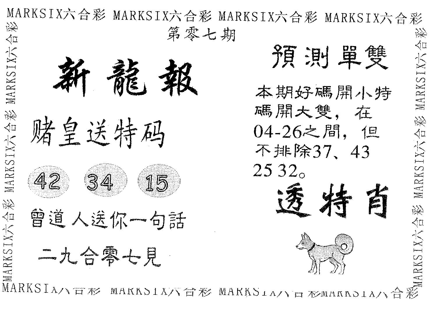 新龙报 第7期