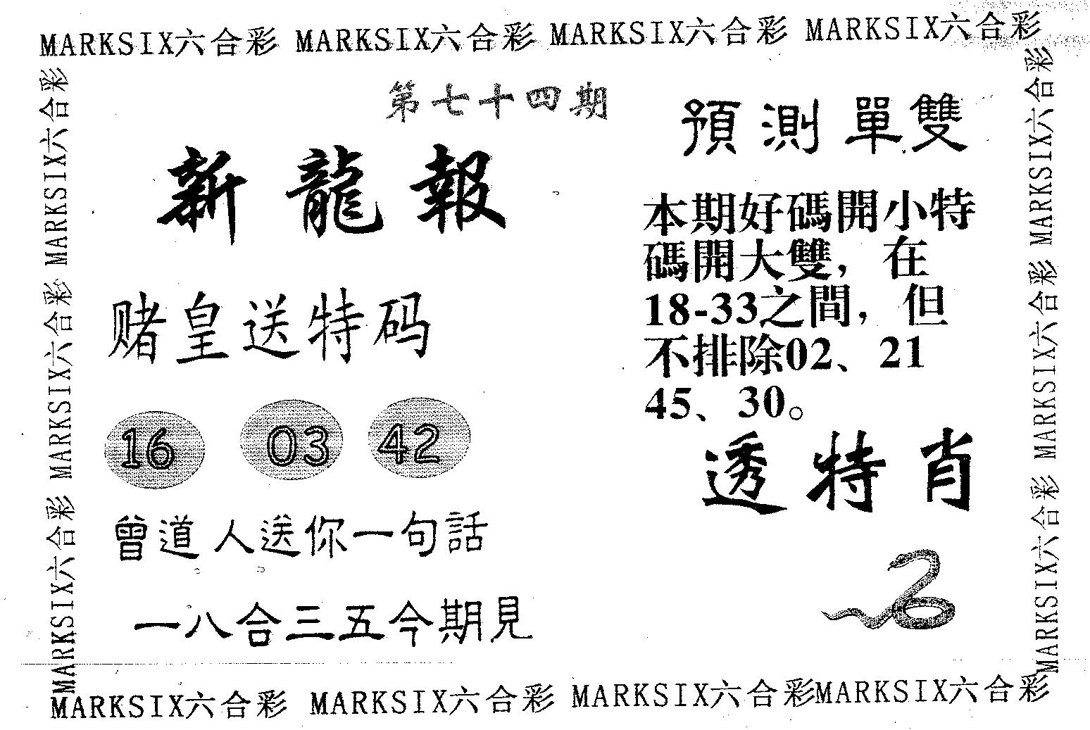 新龙报 第74期