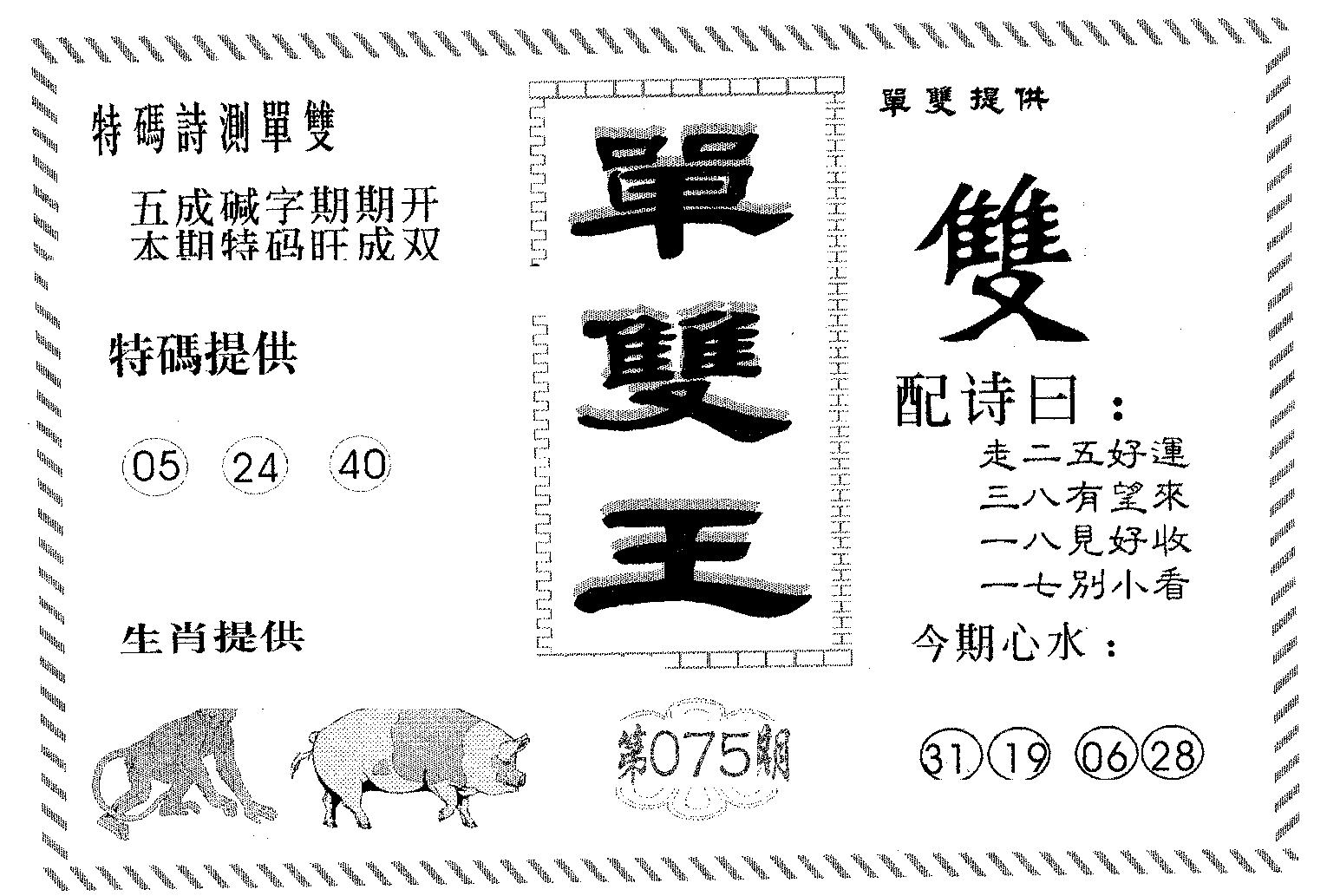 单双王B 第75期