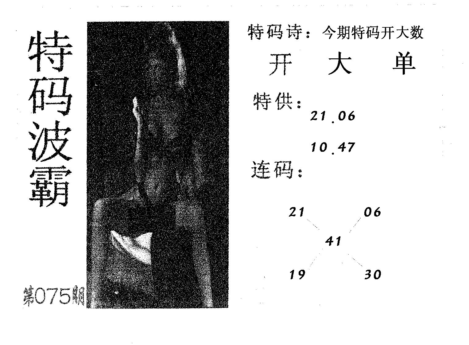 特码波霸 第75期