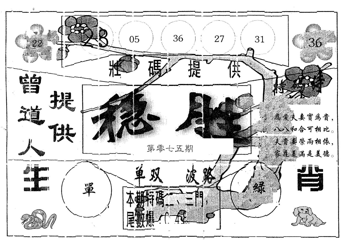 稳胜 第75期