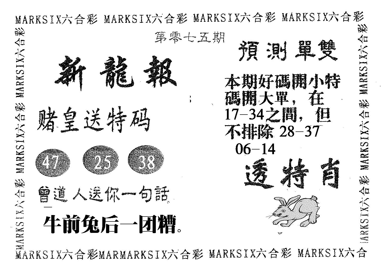 新龙报 第75期