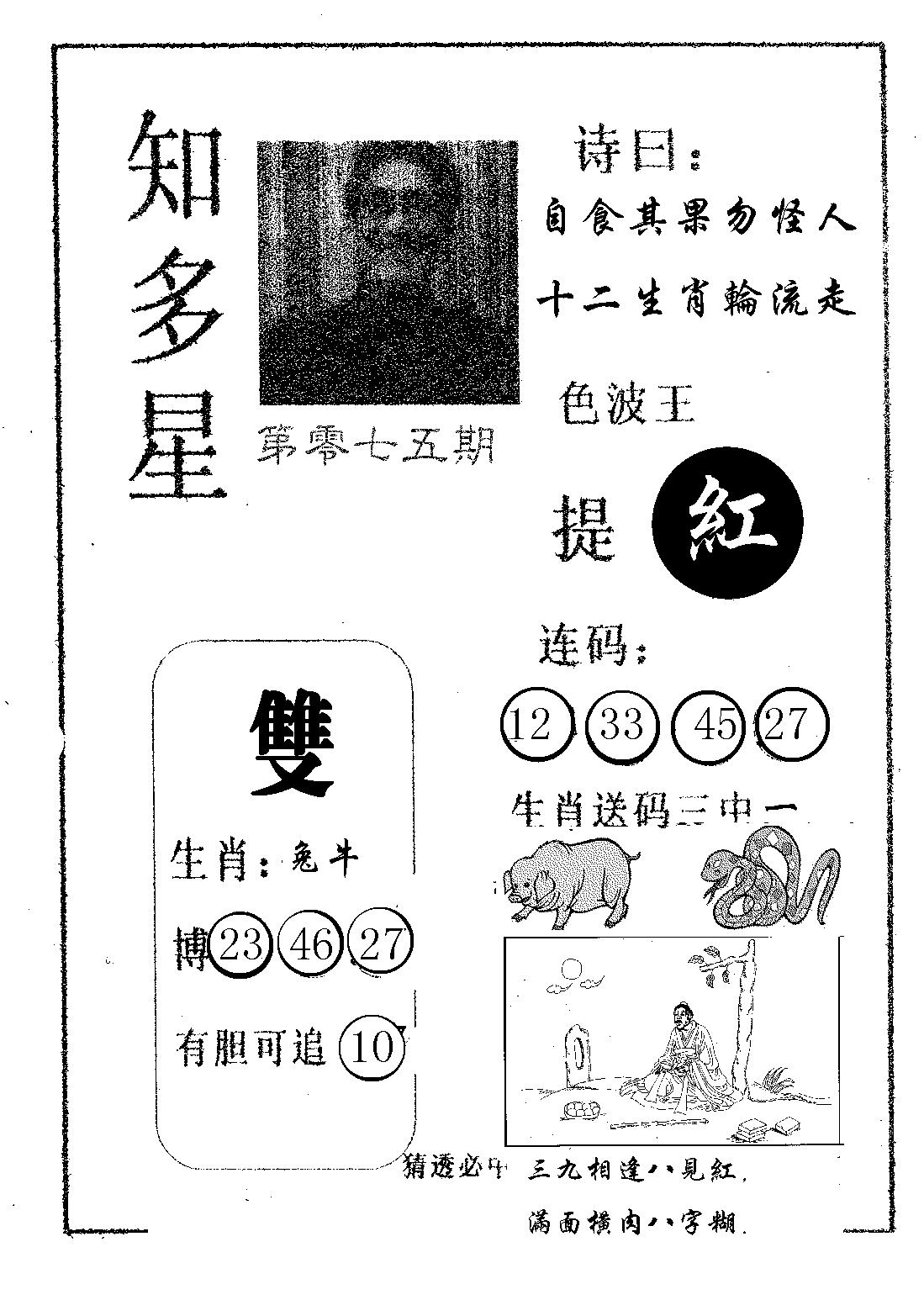 知多星 第75期
