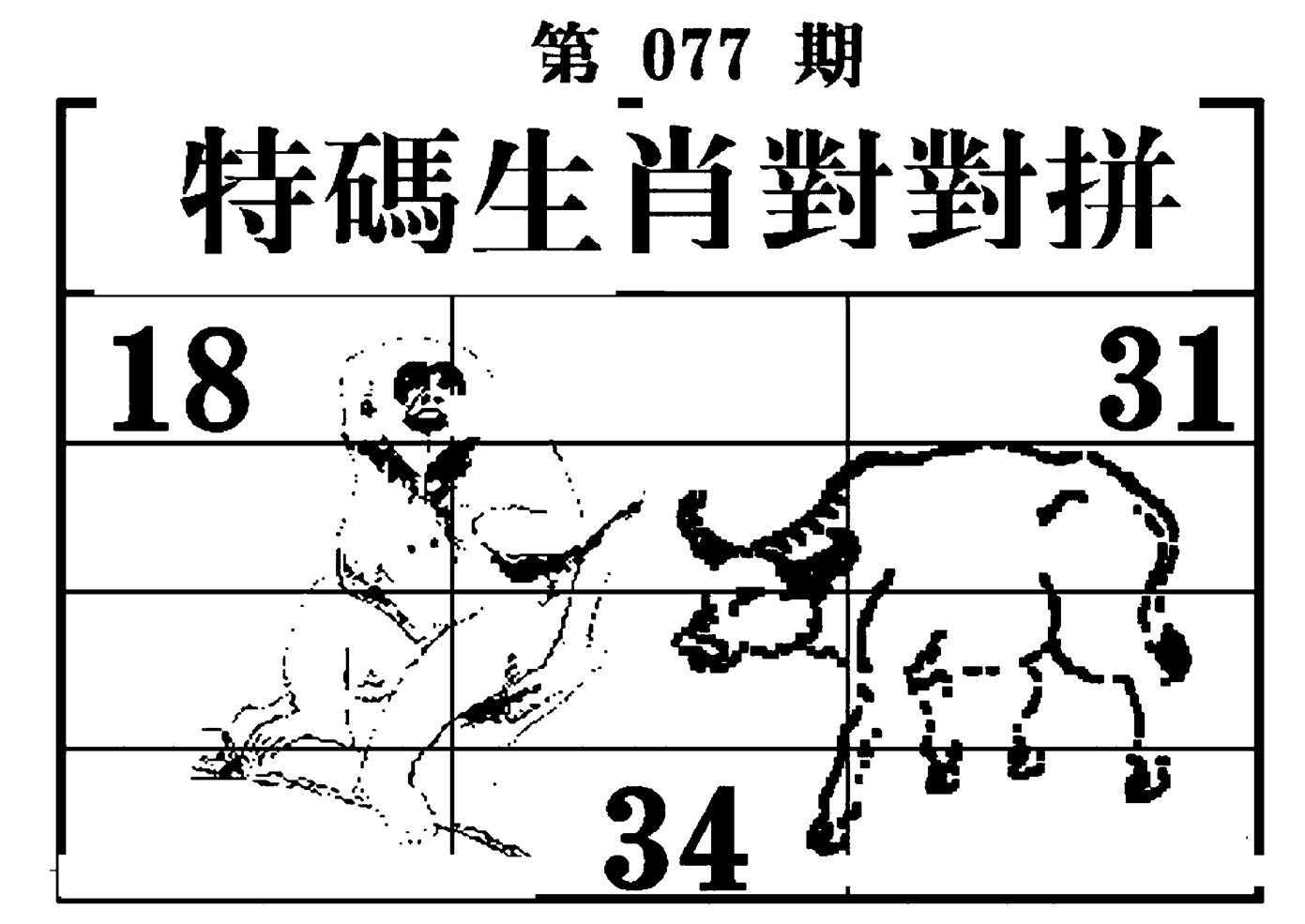 特码生肖对对拼 第77期